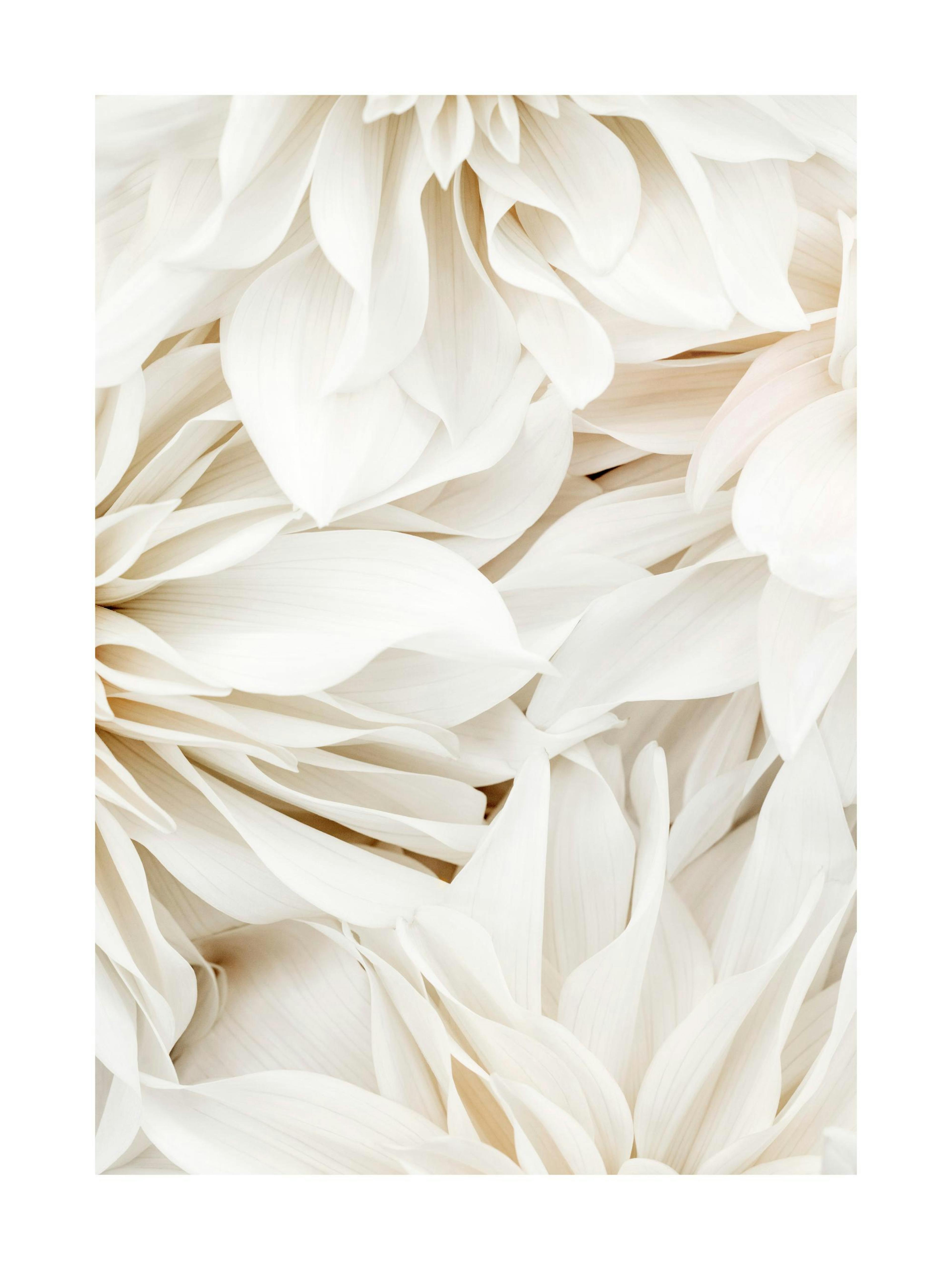 Product image: 1