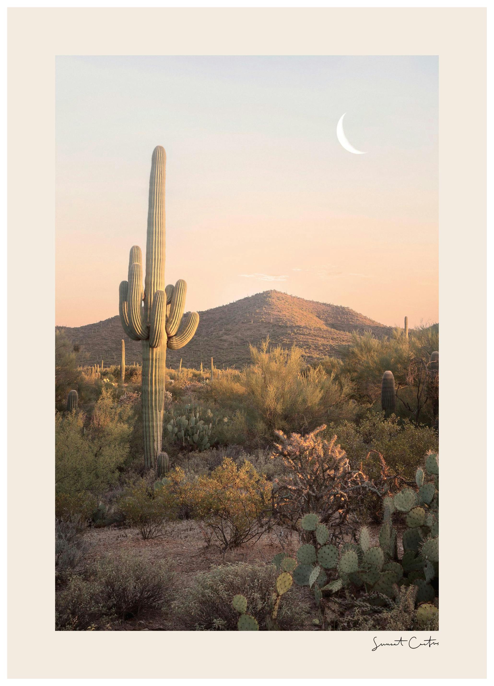 Cactus Zonsondergang Poster (30x40 cm) - Poster Store