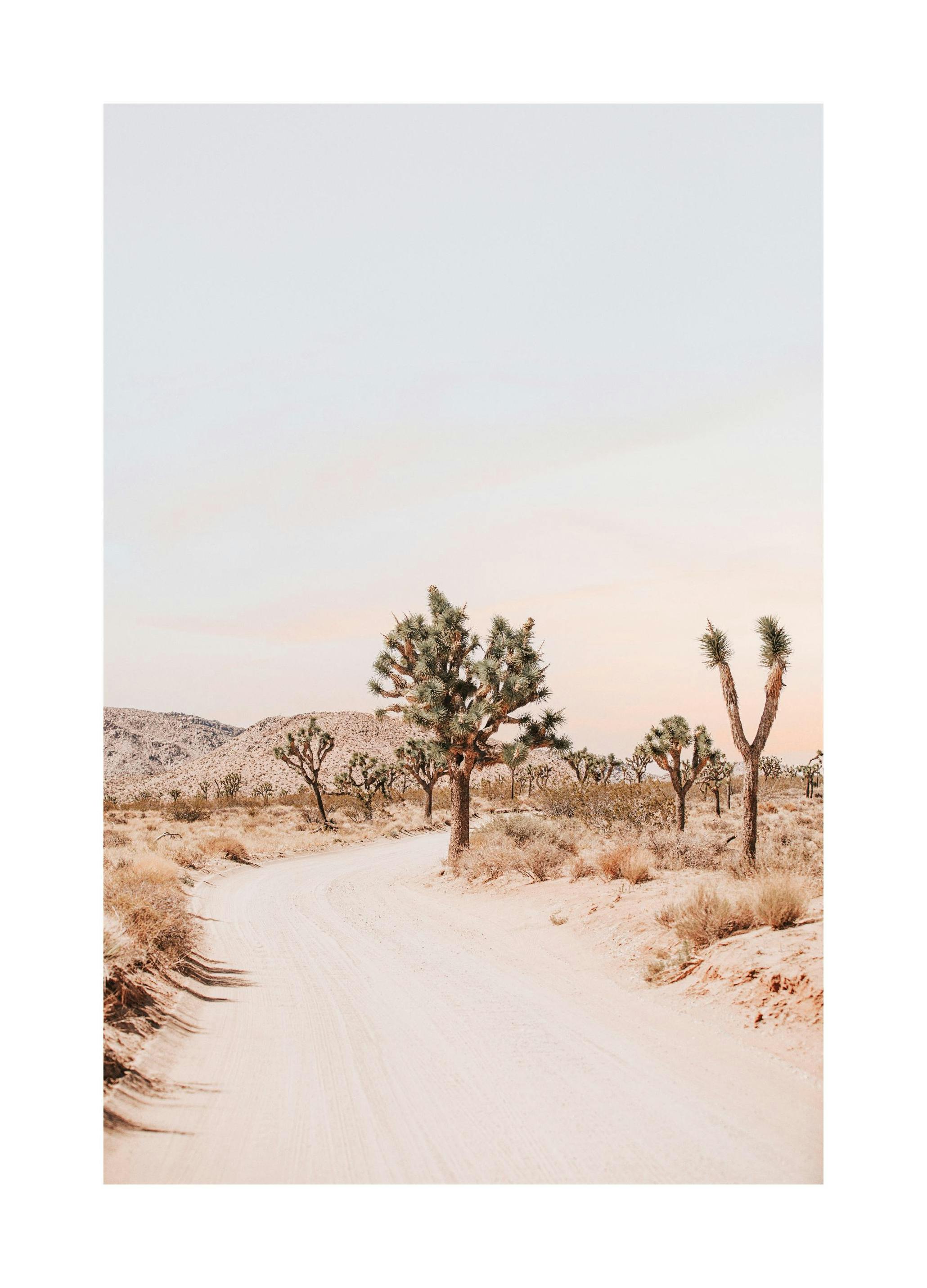 Route à Joshua Tree Affiche (30x40 cm) - Poster Store