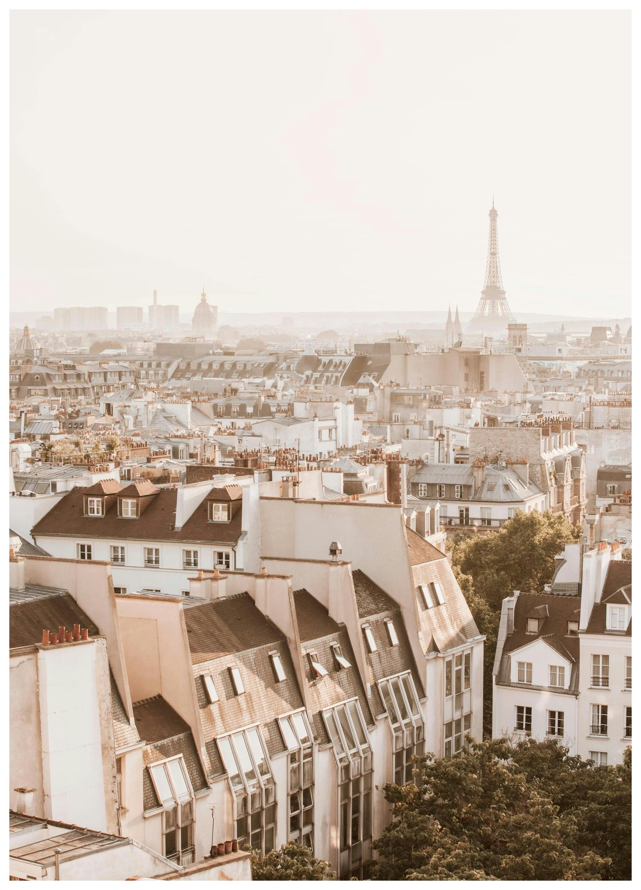 Poster Rooftops in Paris (30x40 cm) - Poster Store