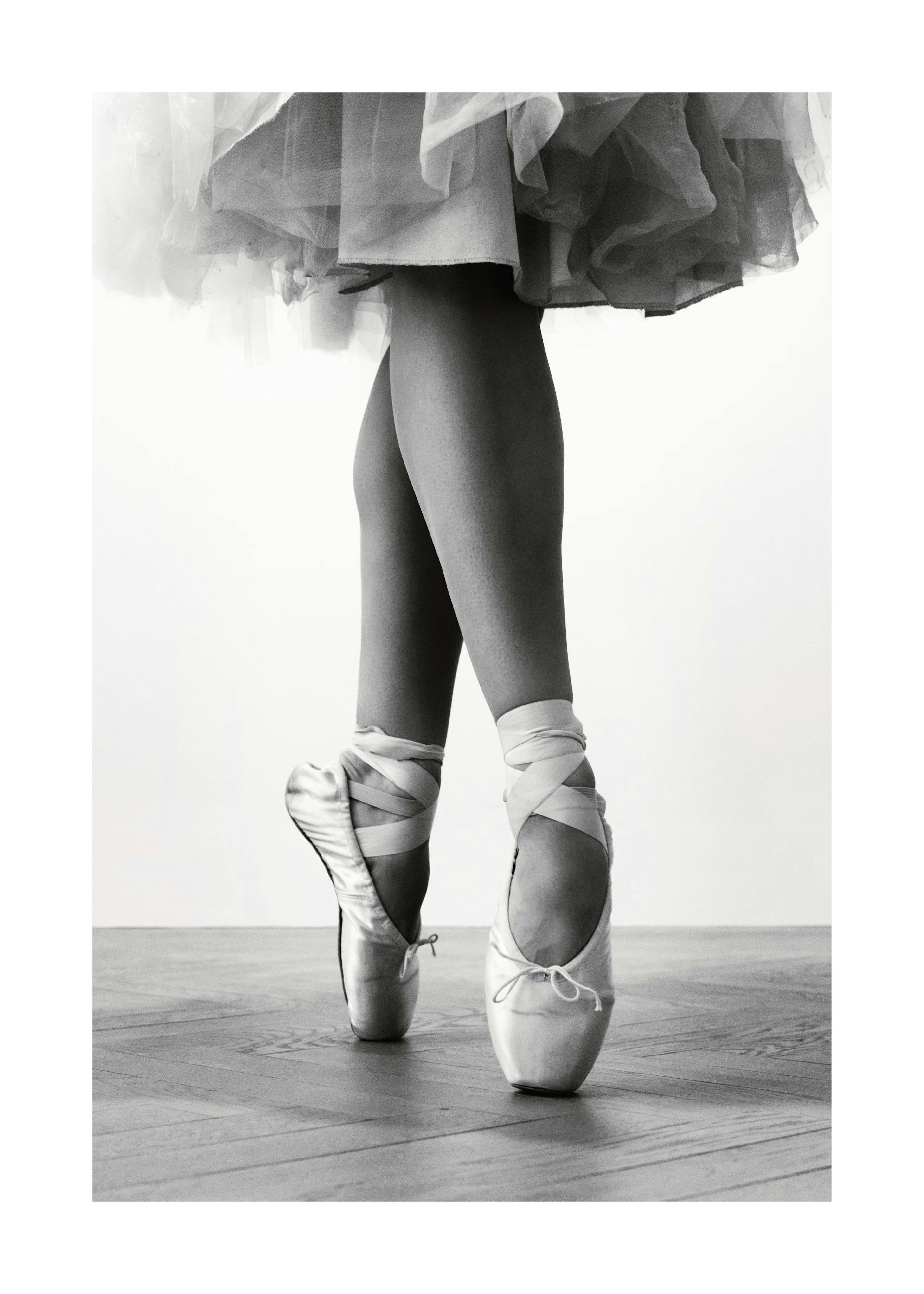 Dancing En Pointe Poster 0