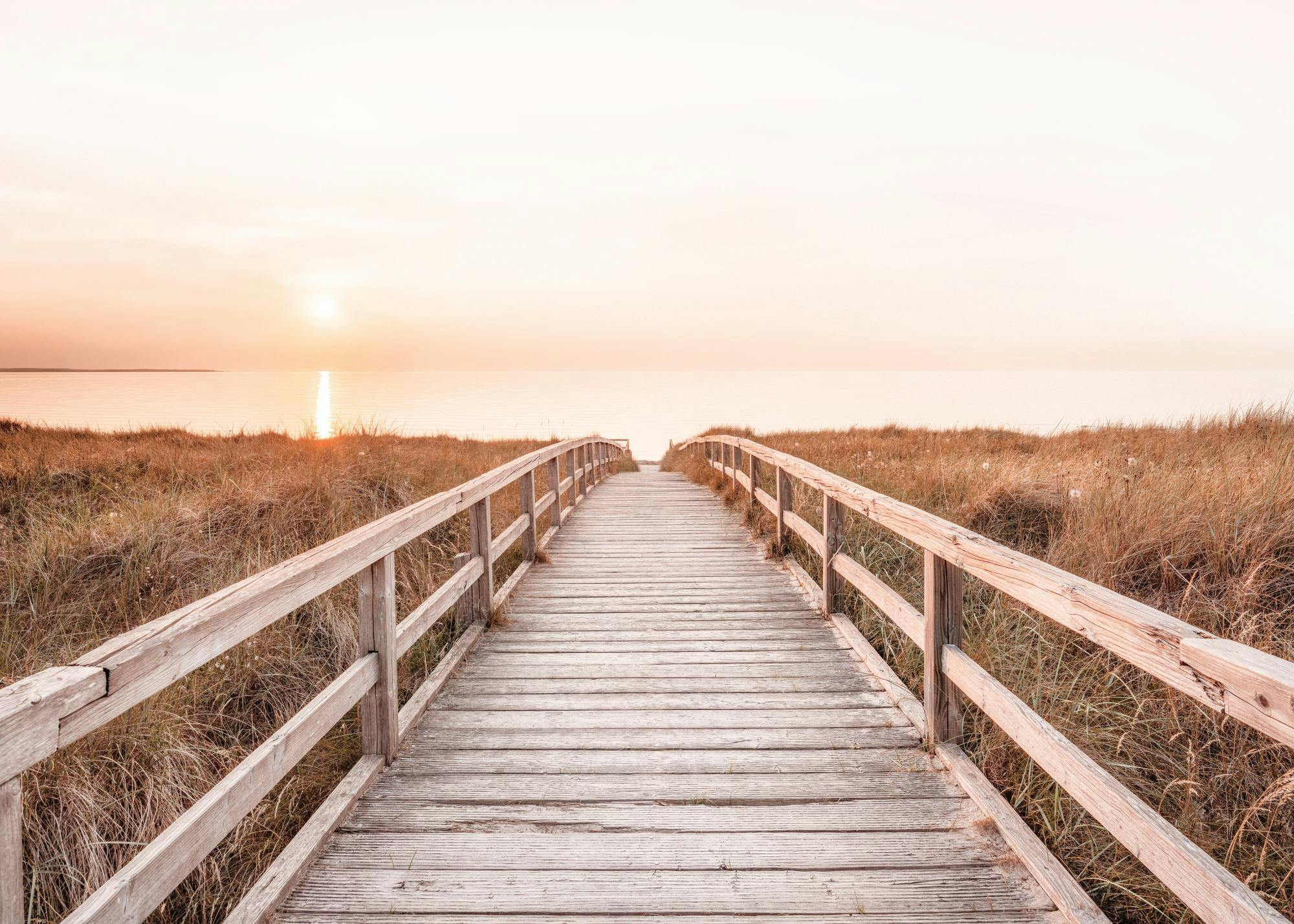 Poster dune promenade en bois menant à un coucher de soleil rose et orange sur locéan, avec de lherbe sèche de chaque côté.