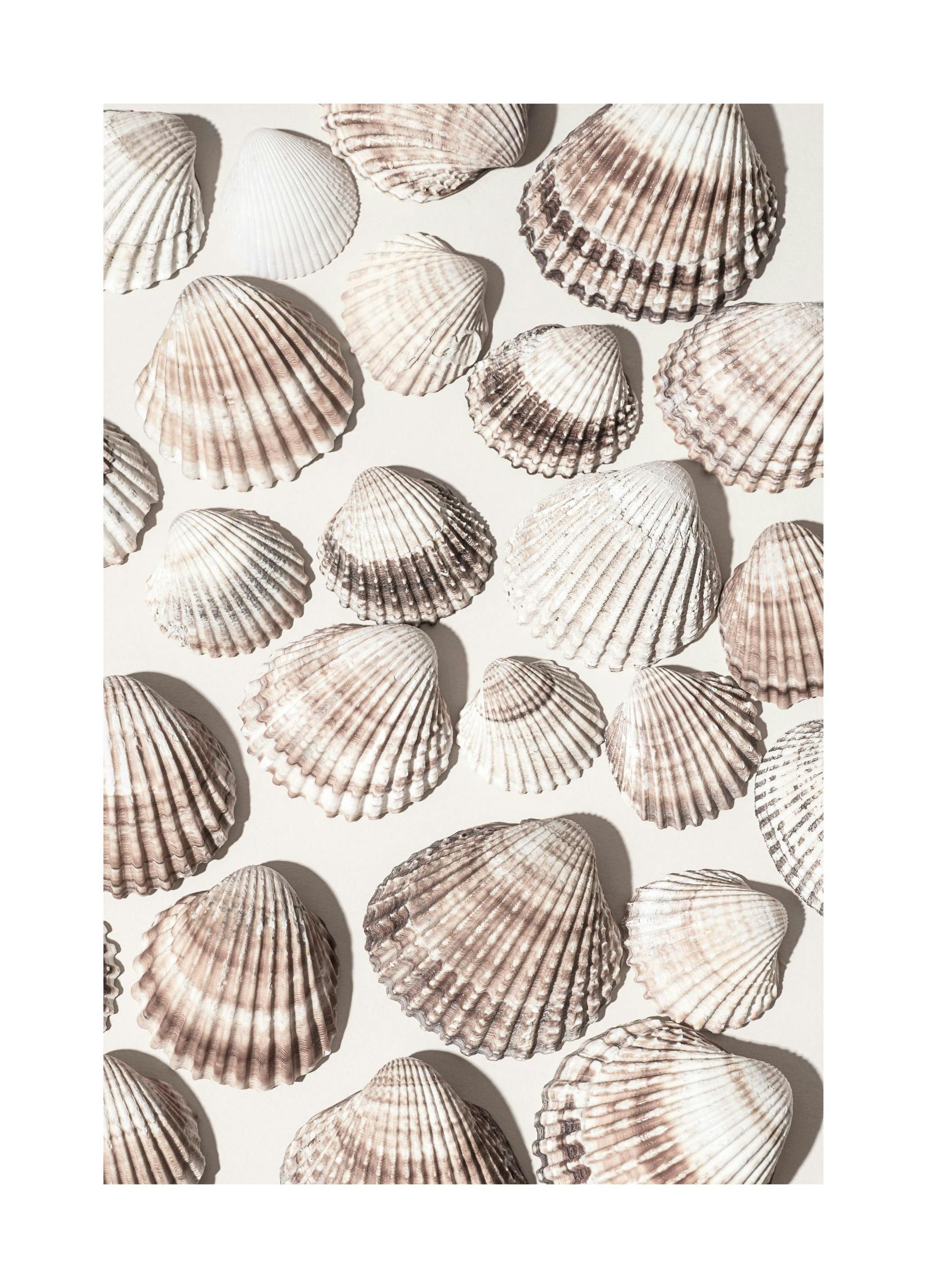 Poster zeeschat (30x40 cm) - Poster Store