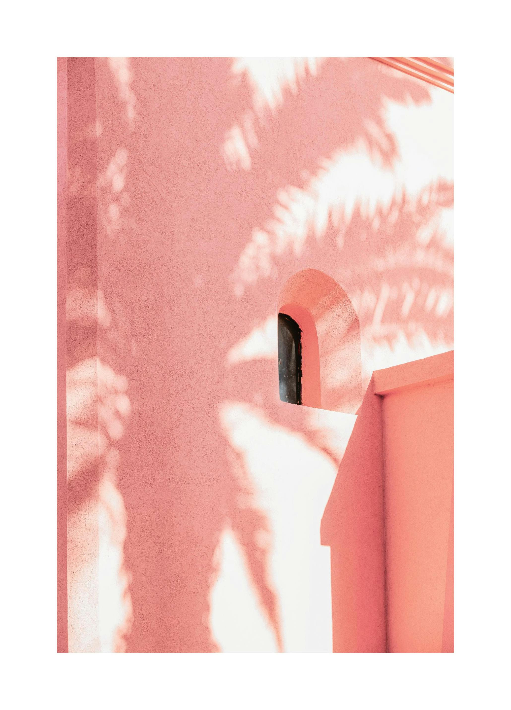 Pink Palm Shadow Poster (30x40 cm) - Poster Store