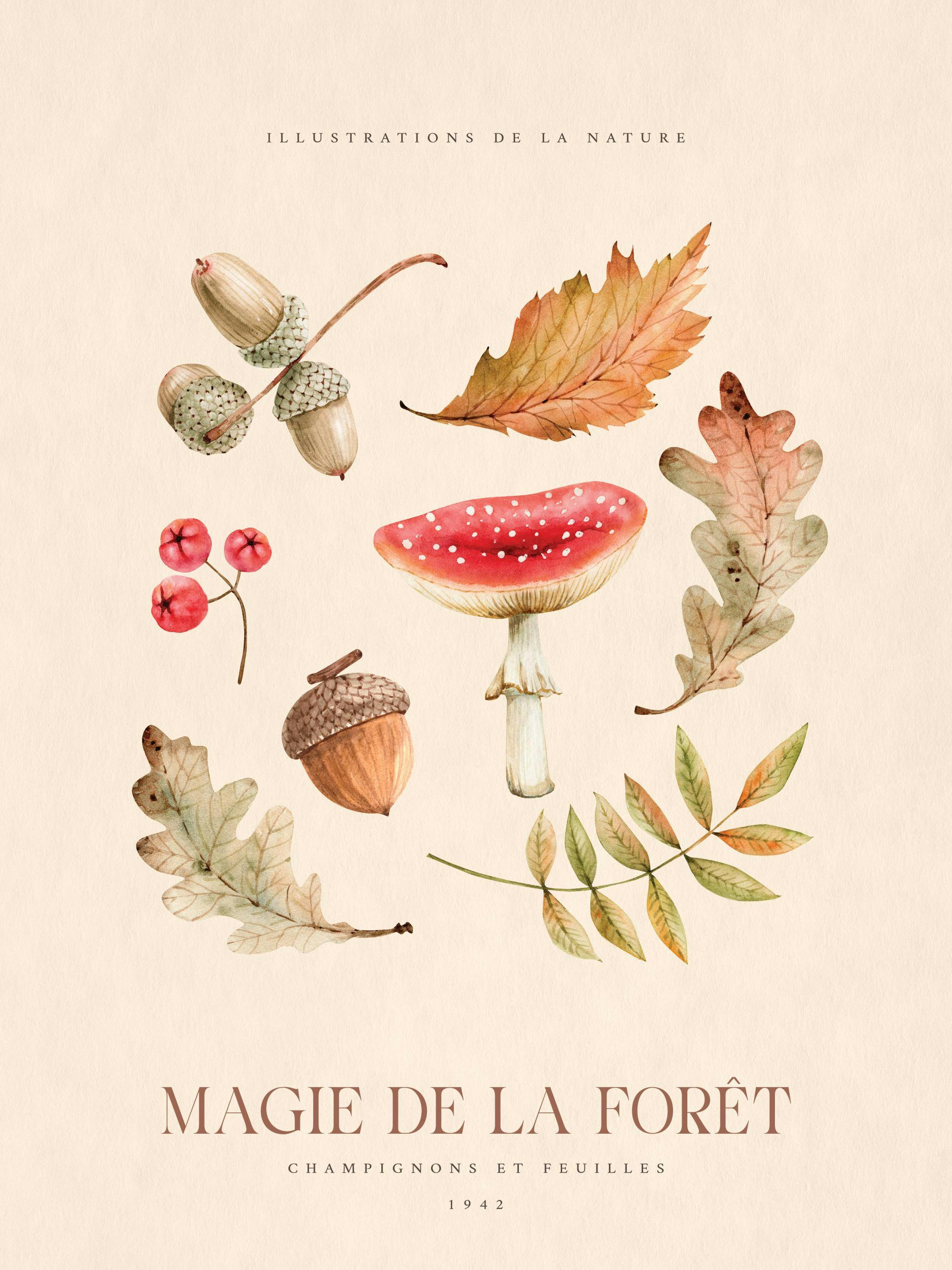Poster mit Waldmotiven: Eicheln, Pilze, rote Beeren und Blätter in Herbstfarben auf beigem Hintergrund.