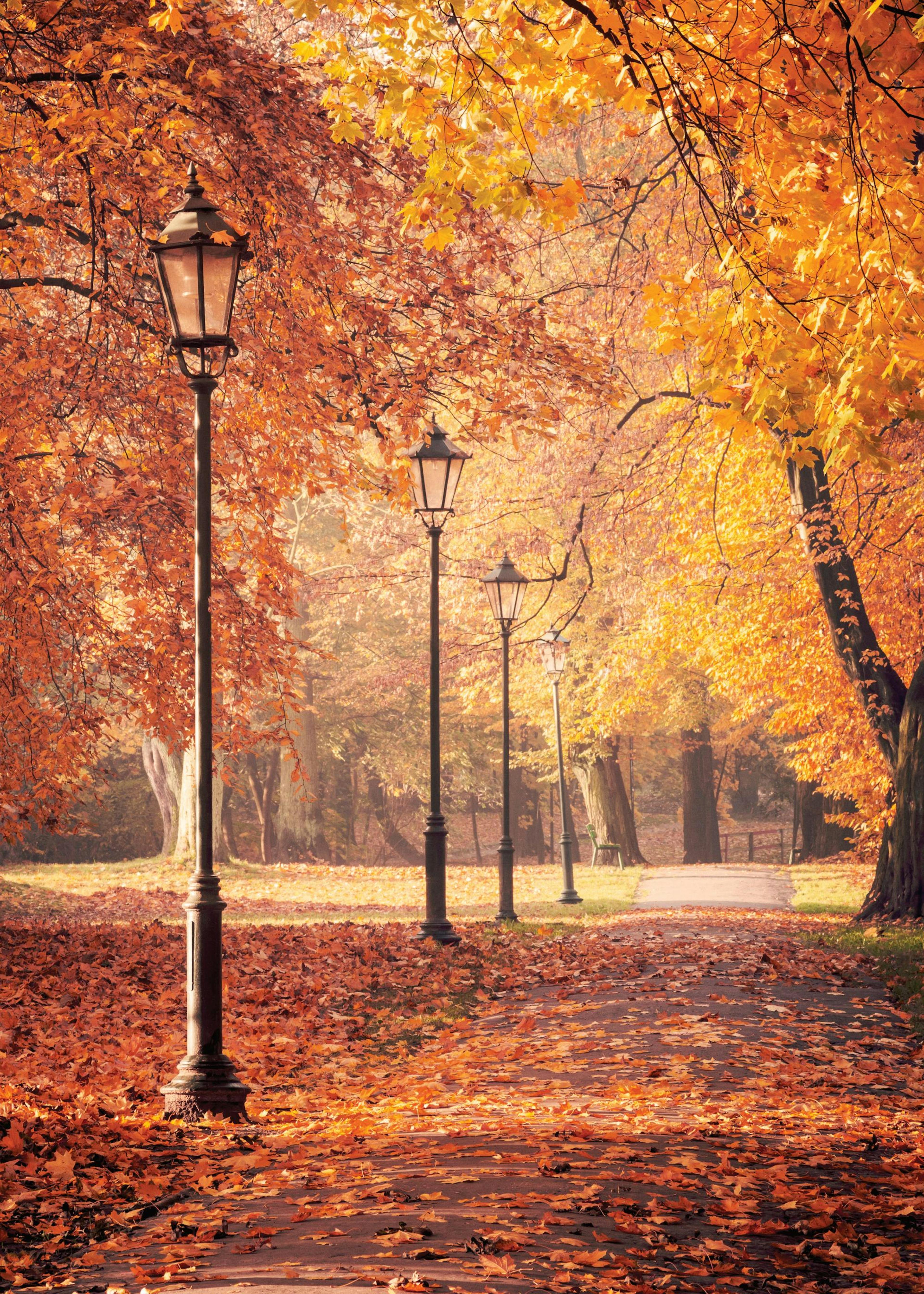 Autumn Walk Poster 0