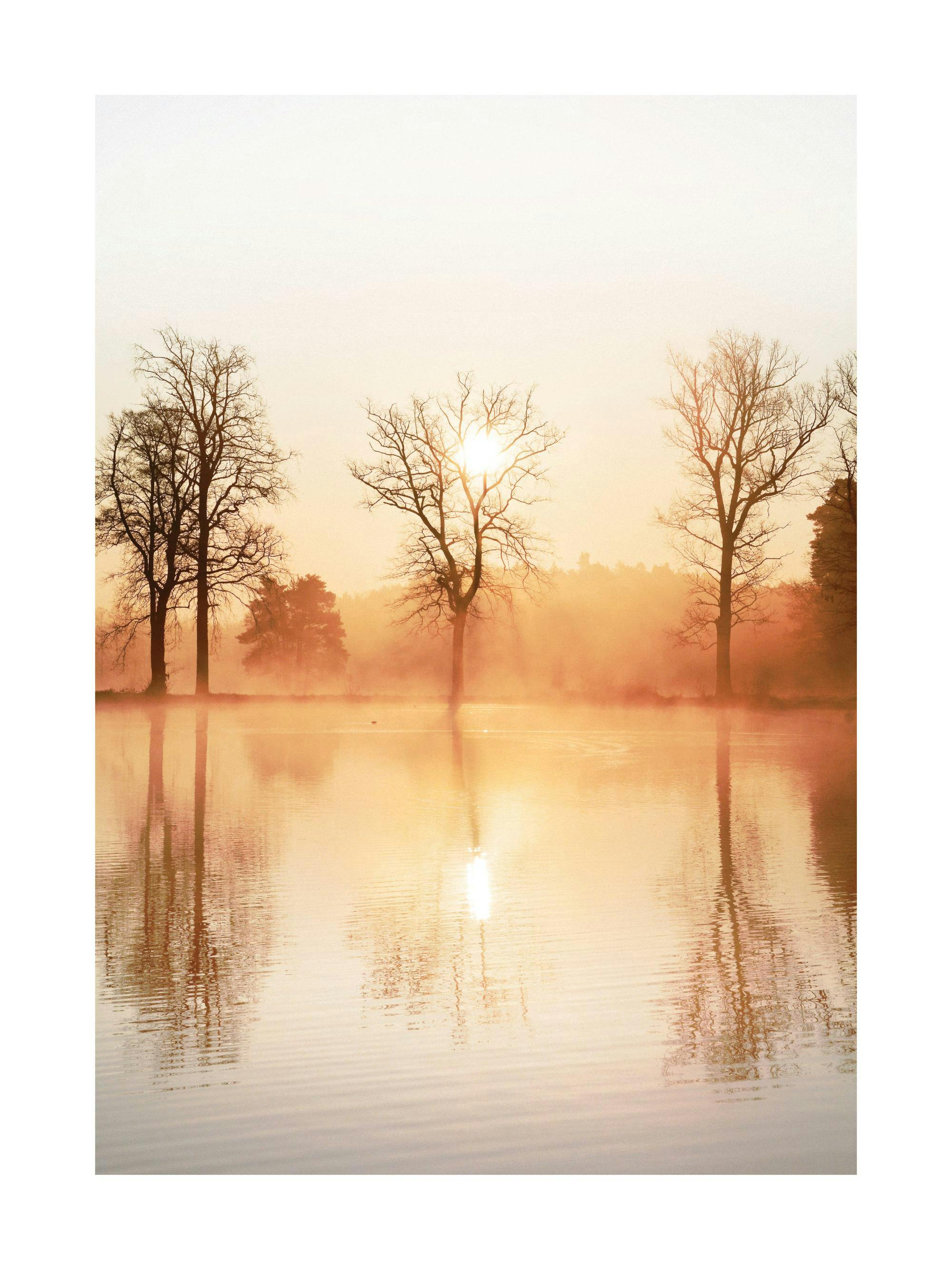 Poster dun lever de soleil brumeux sur un lac avec trois arbres dénudés et leurs reflets.