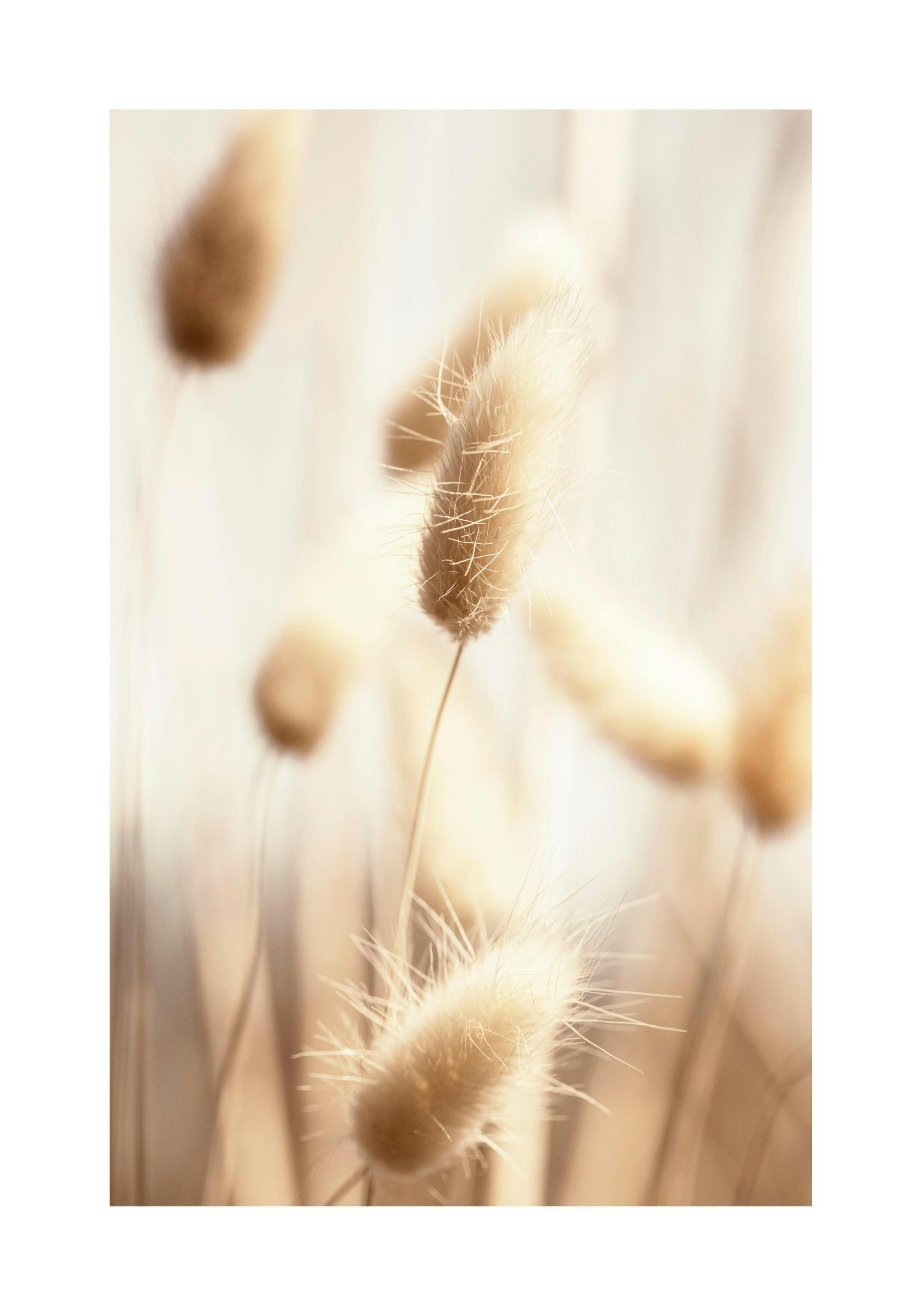 Product image: 1