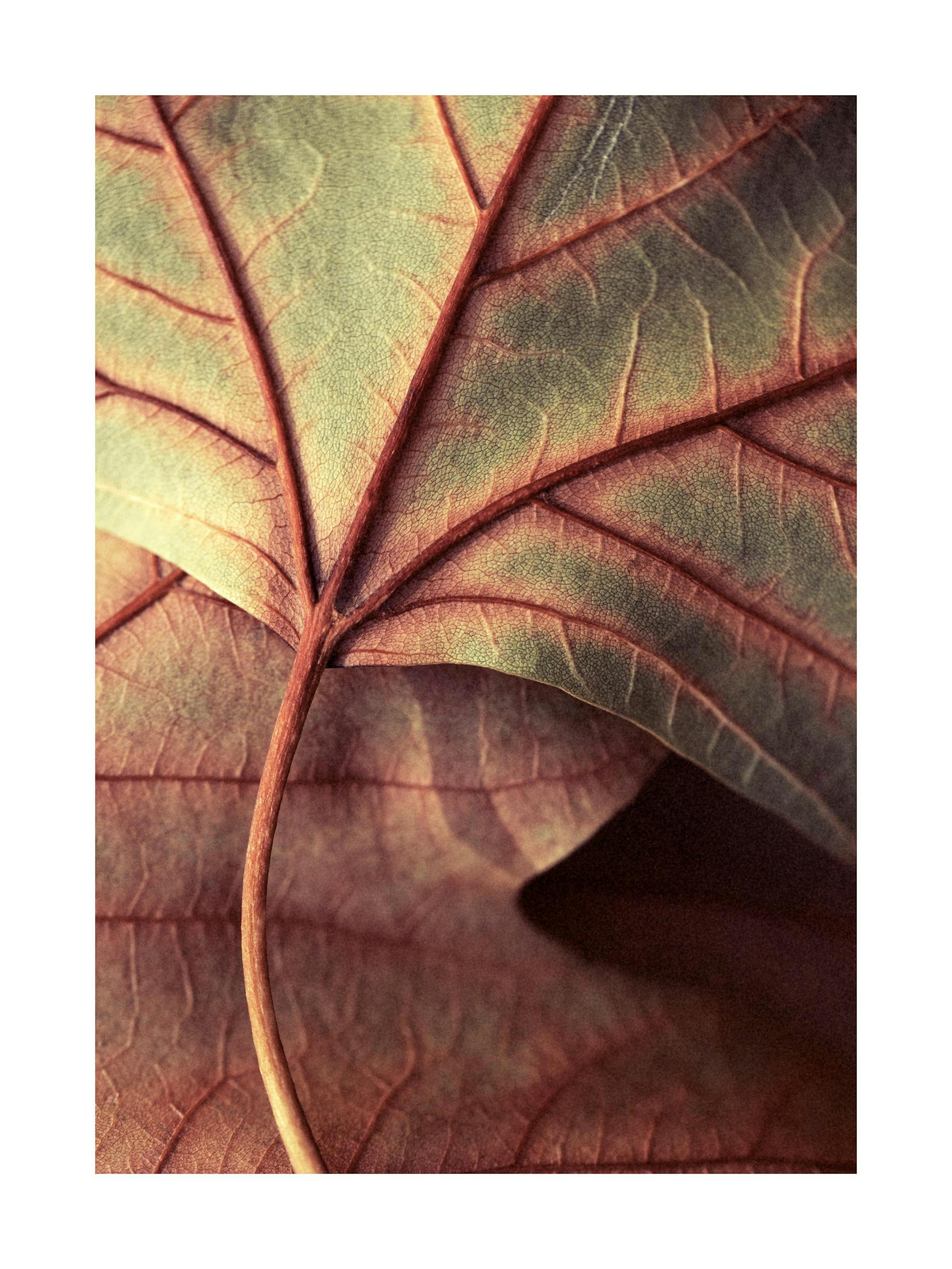 Product image: 1