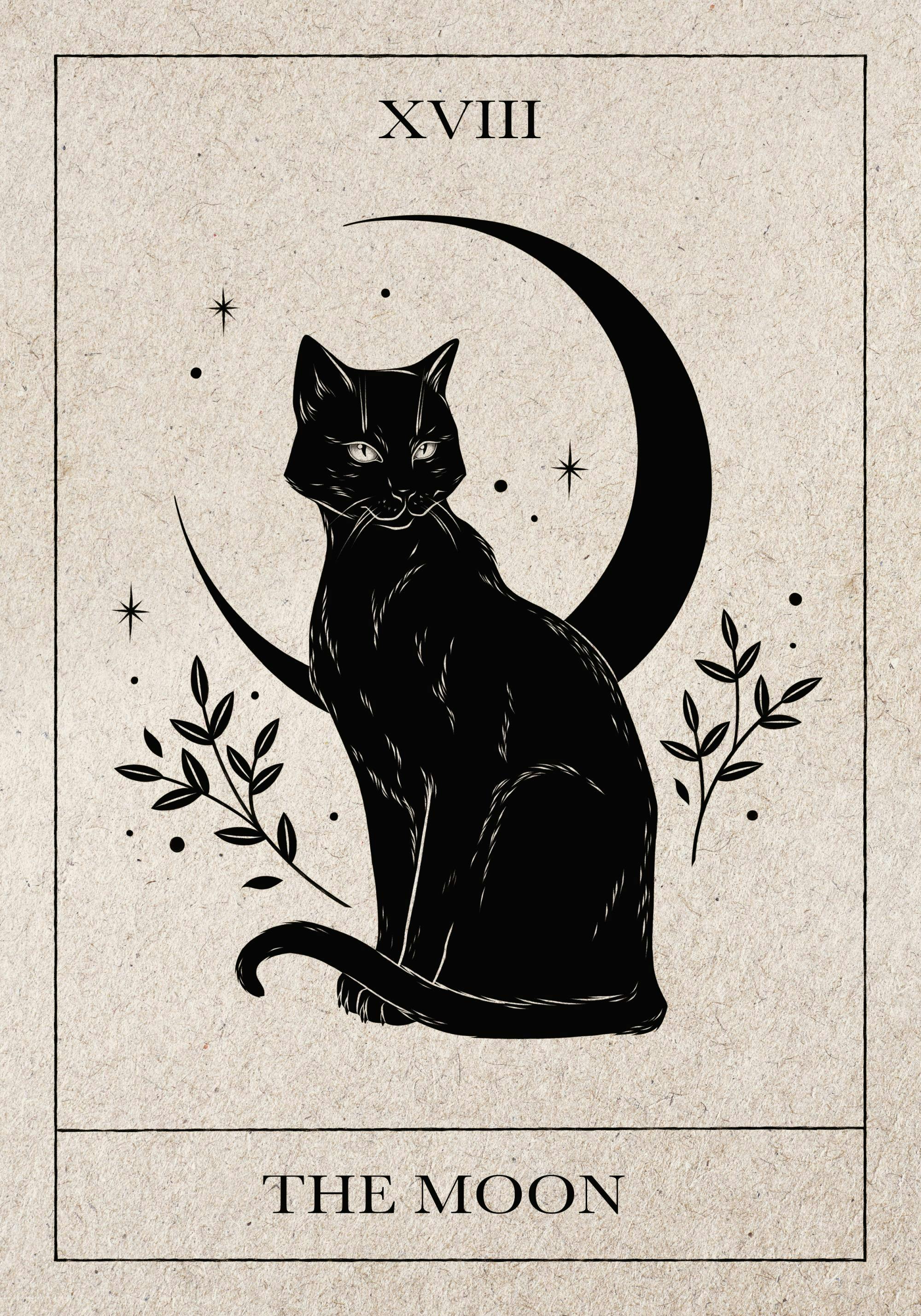 Poster con un gatto nero stilizzato seduto su una mezzaluna con stelle e rami, in stile tarocchi.