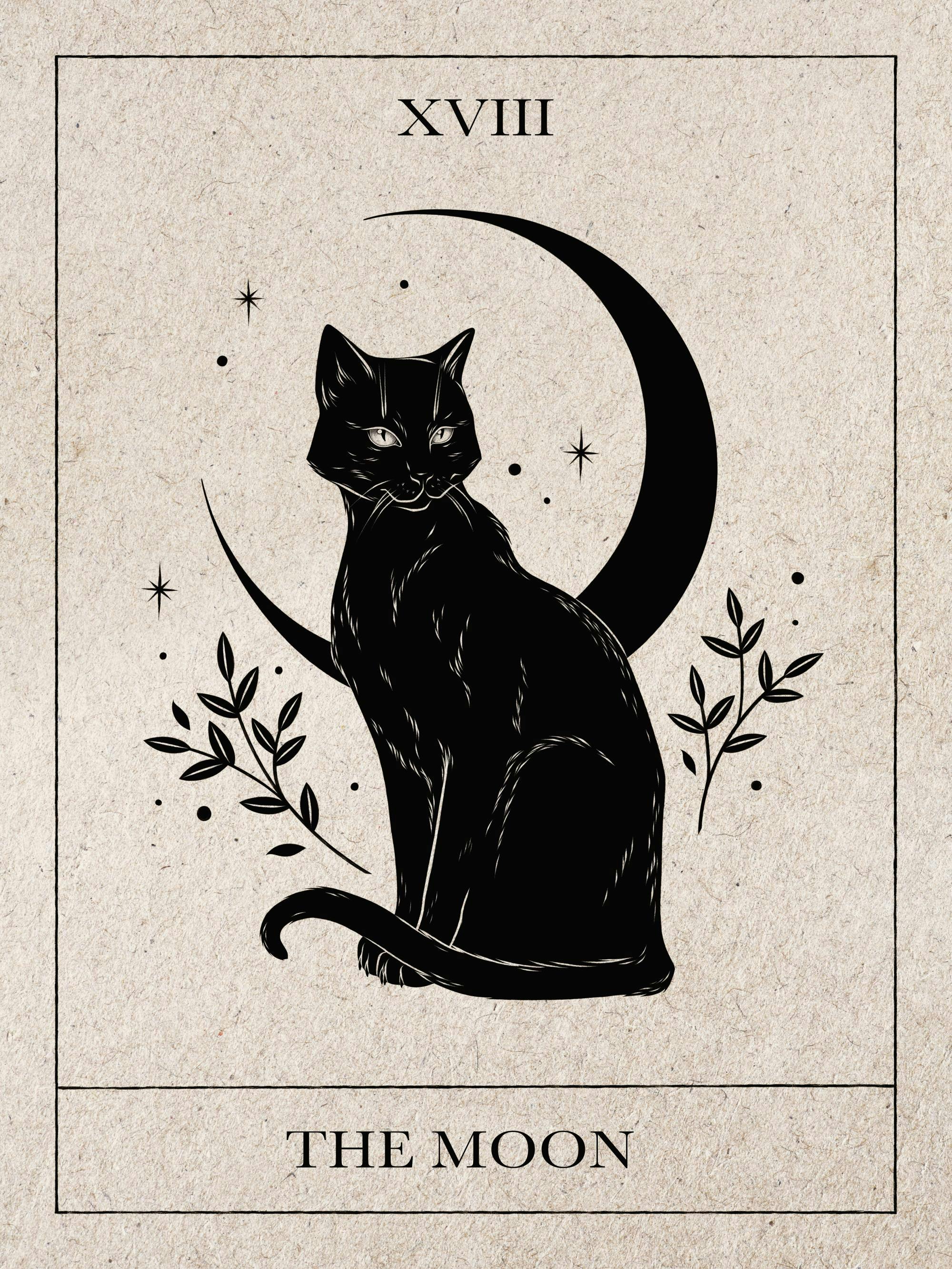 Poster: Schwarze Katze auf einem Halbmond sitzend, umgeben von Sternen und Blättern, im Stil einer Tarotkarte.