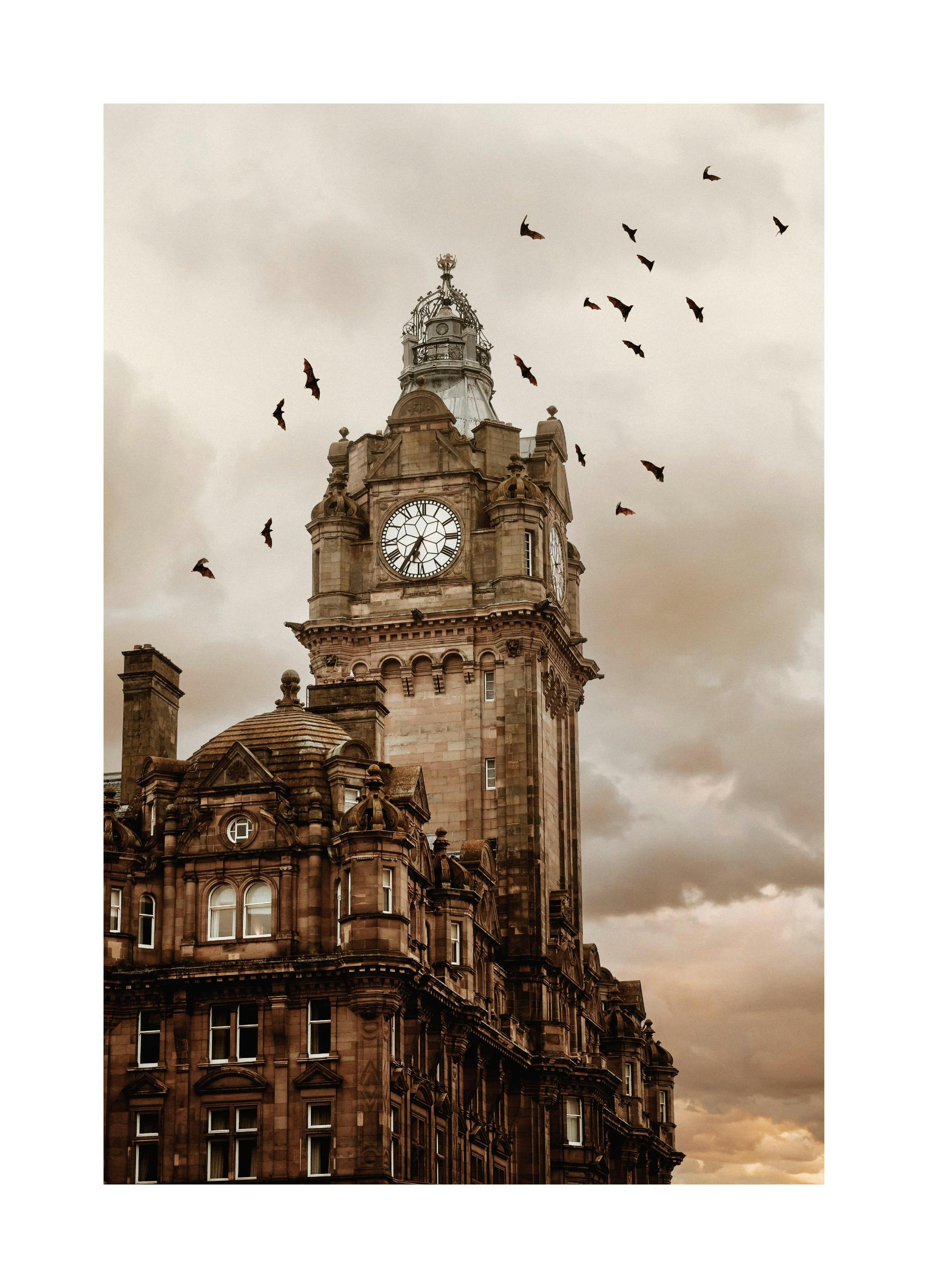 Pipistrelli accanto all'Edificio Poster (30x40 cm) - Poster Store