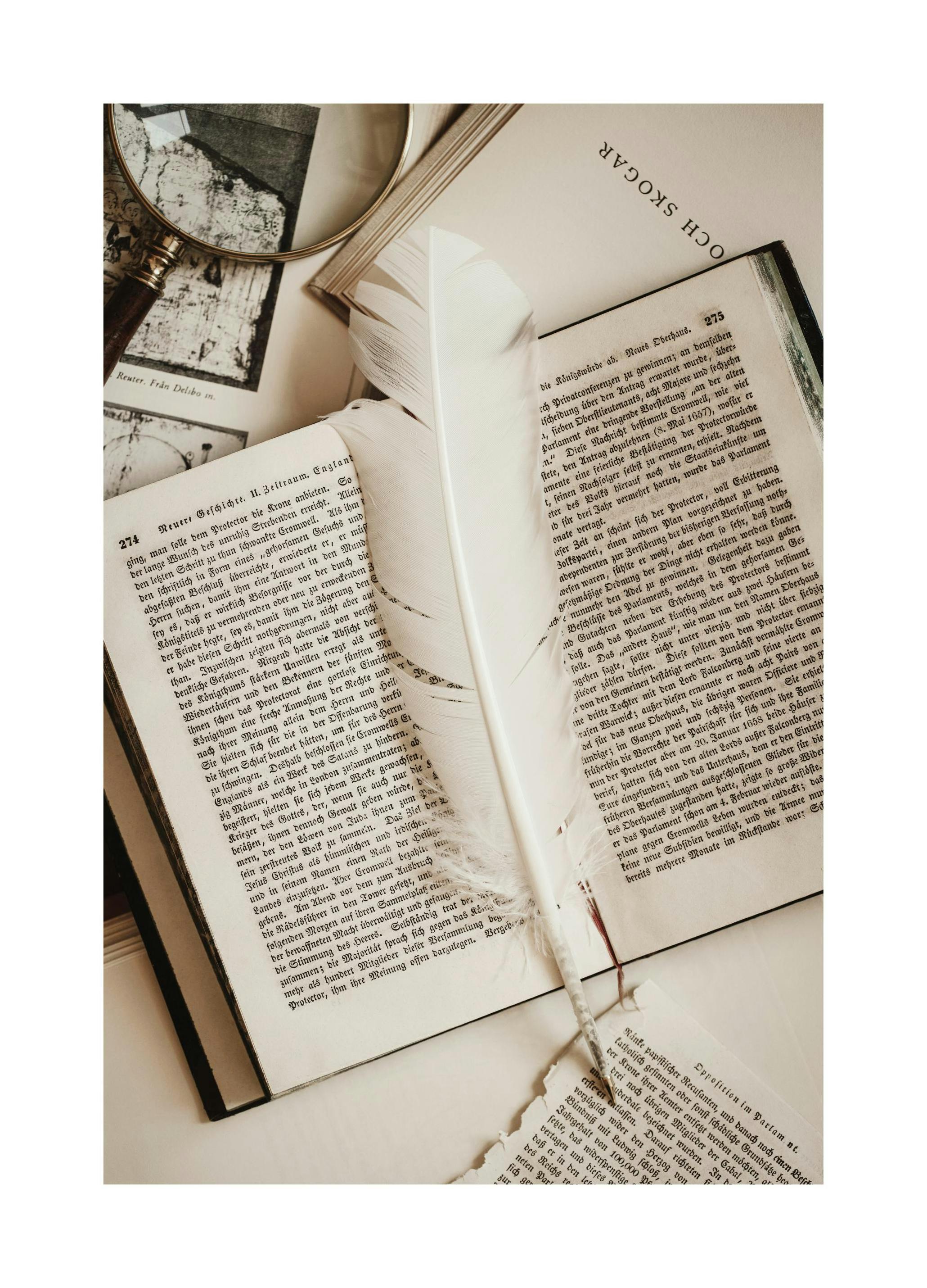 Schrijfveer Poster (50x70 cm) - Poster Store