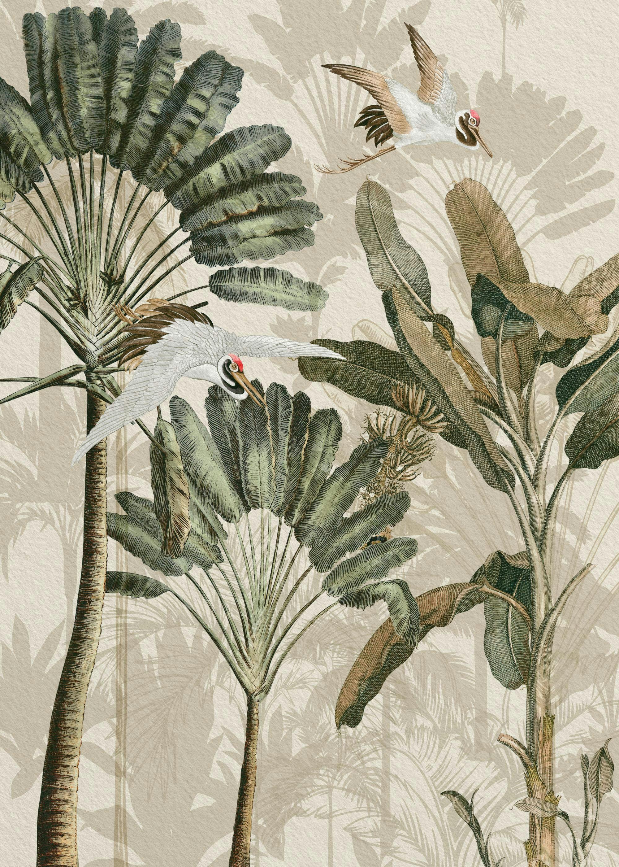 Een poster met een tropisch bos, palmbomen en bananenbomen, met twee vliegende kraanvogels op een beige achtergrond.