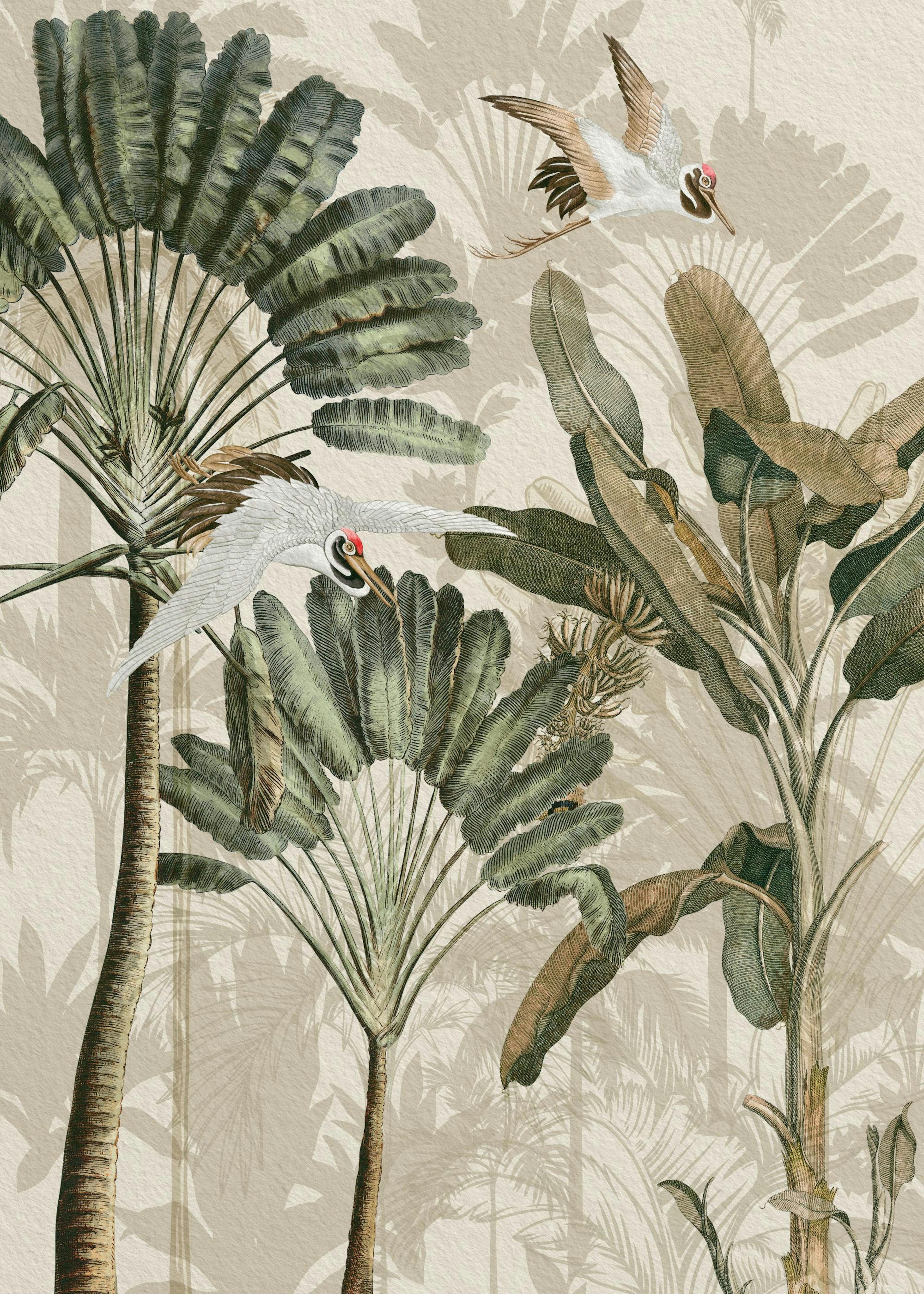 Poster di Gru nella Foresta Pluviale 0