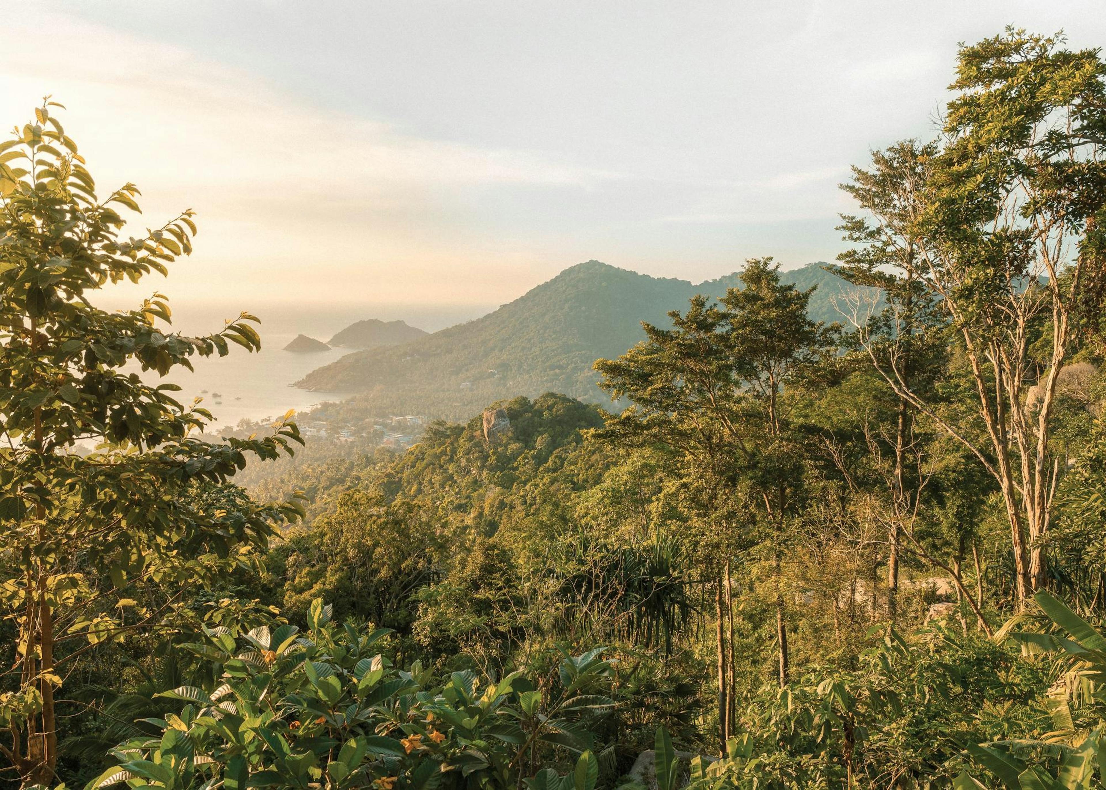 Serenidad tropical póster 0