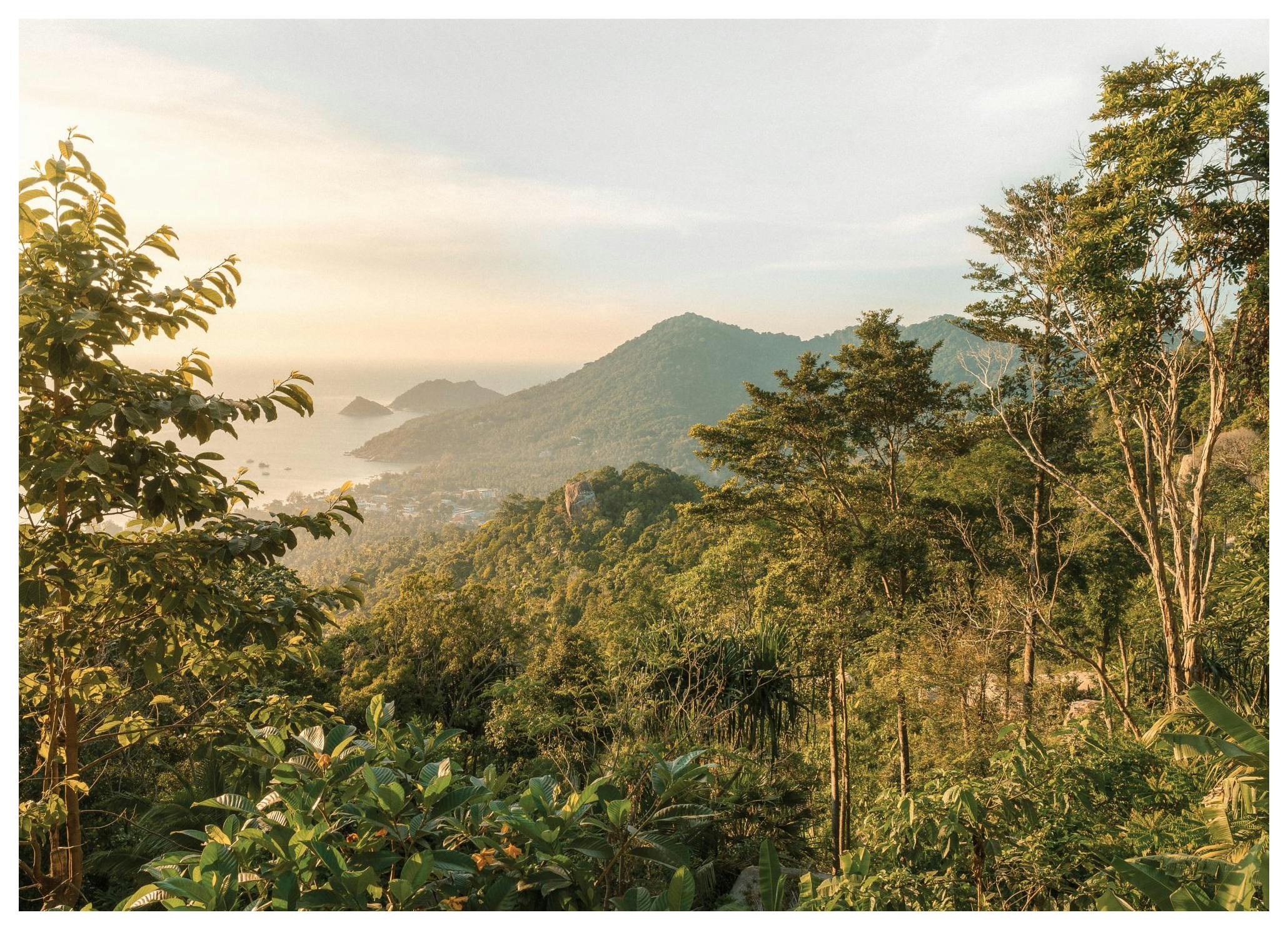 Tropical Serenity Poster (30x40 cm) - Poster Store