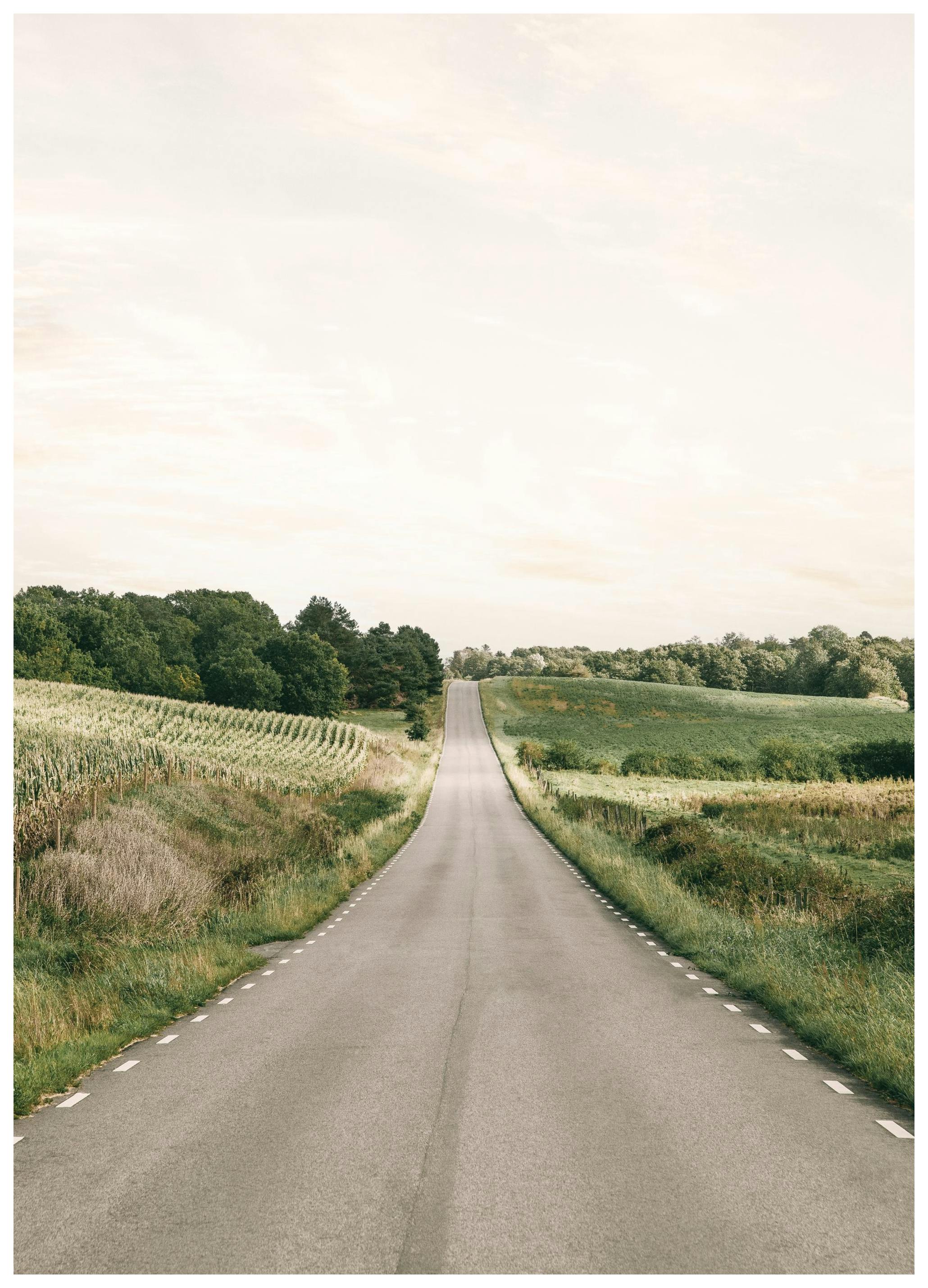 Le Long Chemin Poster (30x40 cm) - Poster Store