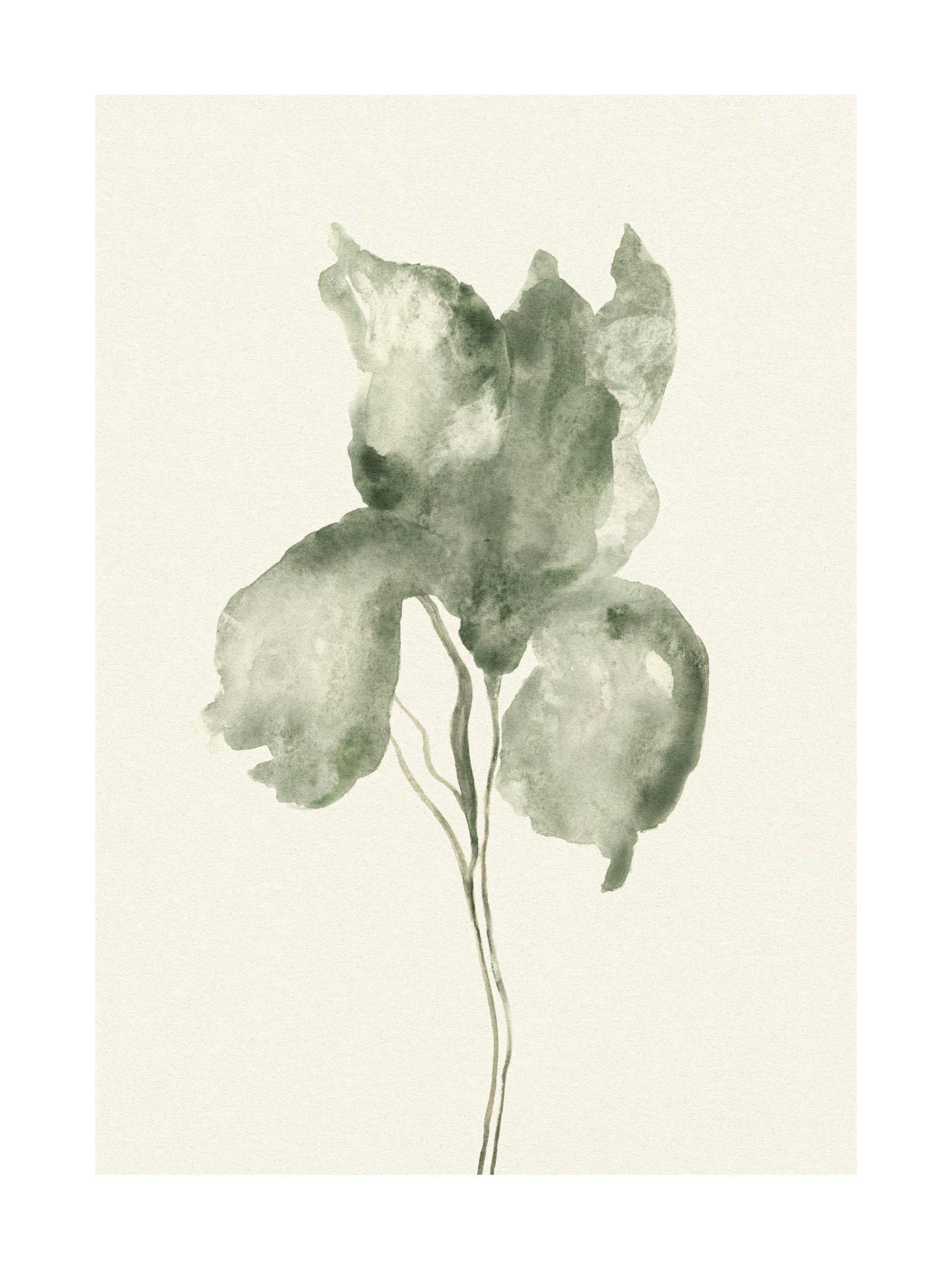 Een poster met een waterverfschilderij van een irisbloem in zachte groene tinten op een lichte achtergrond.