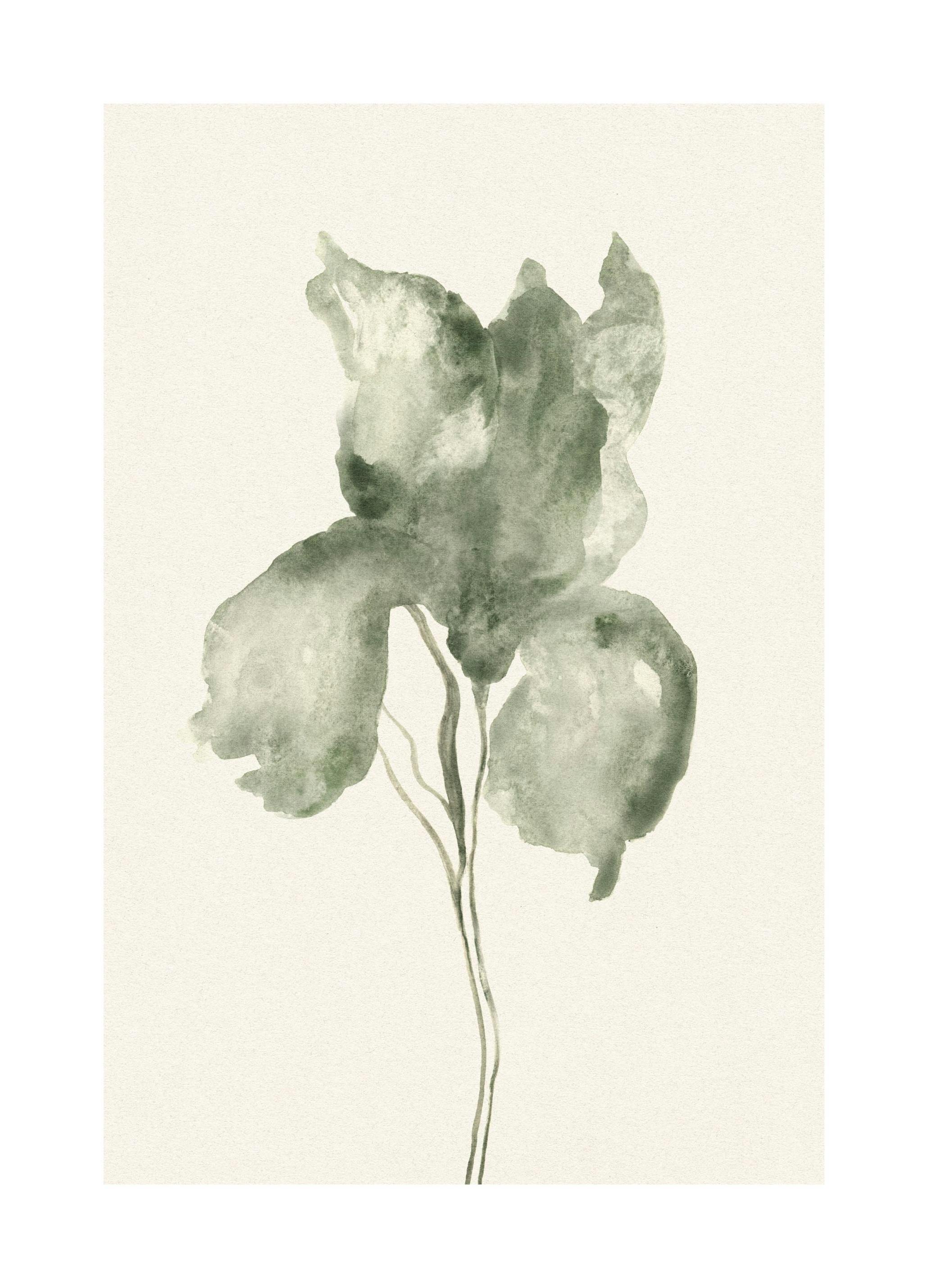 Akwarelowy kwiat Plakat (30x40 cm) - Poster Store