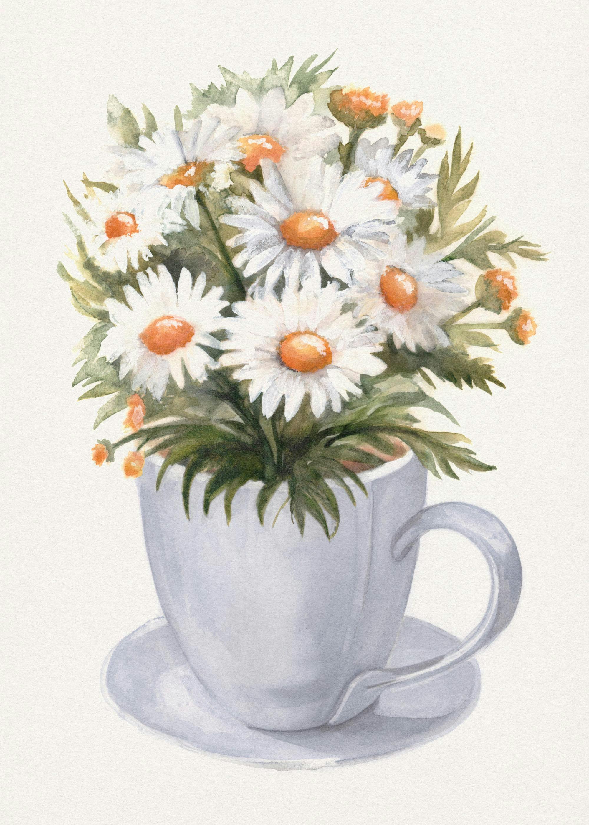 Póster de acuarela de margaritas blancas y hojas verdes en una taza de té gris.