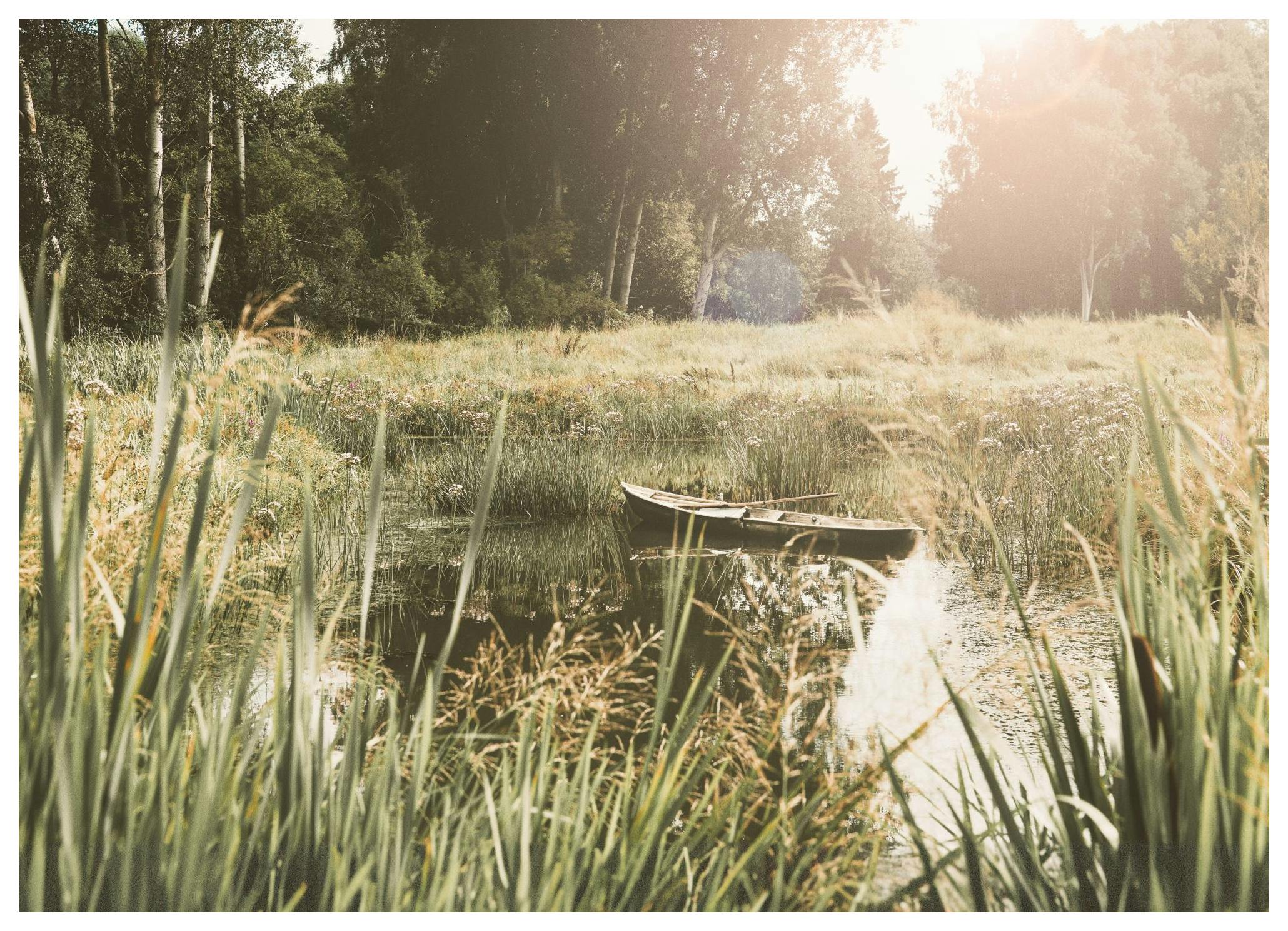 Jours calmes au bord du lac Poster (30x40 cm) - Poster Store