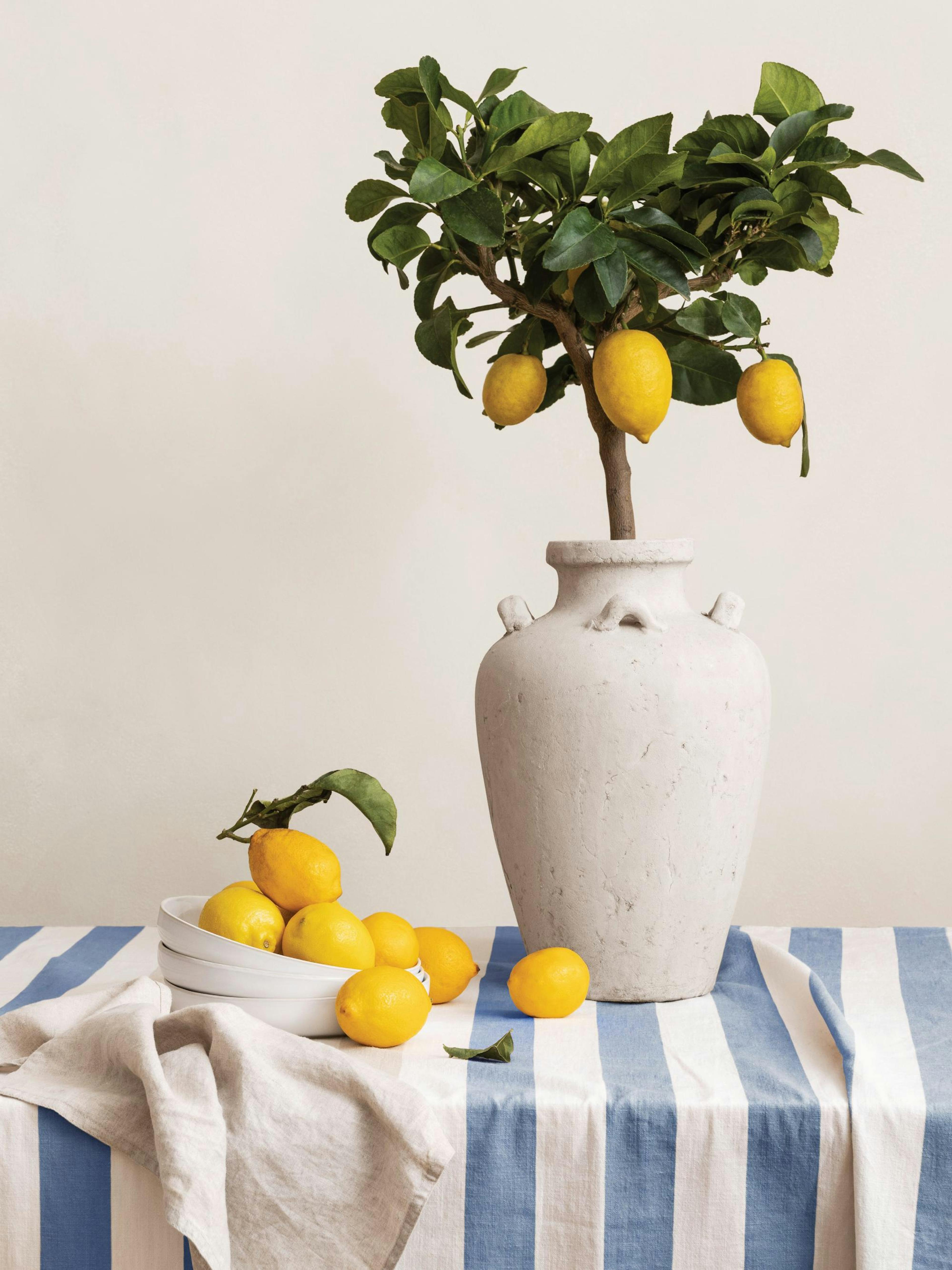 Product image: 1