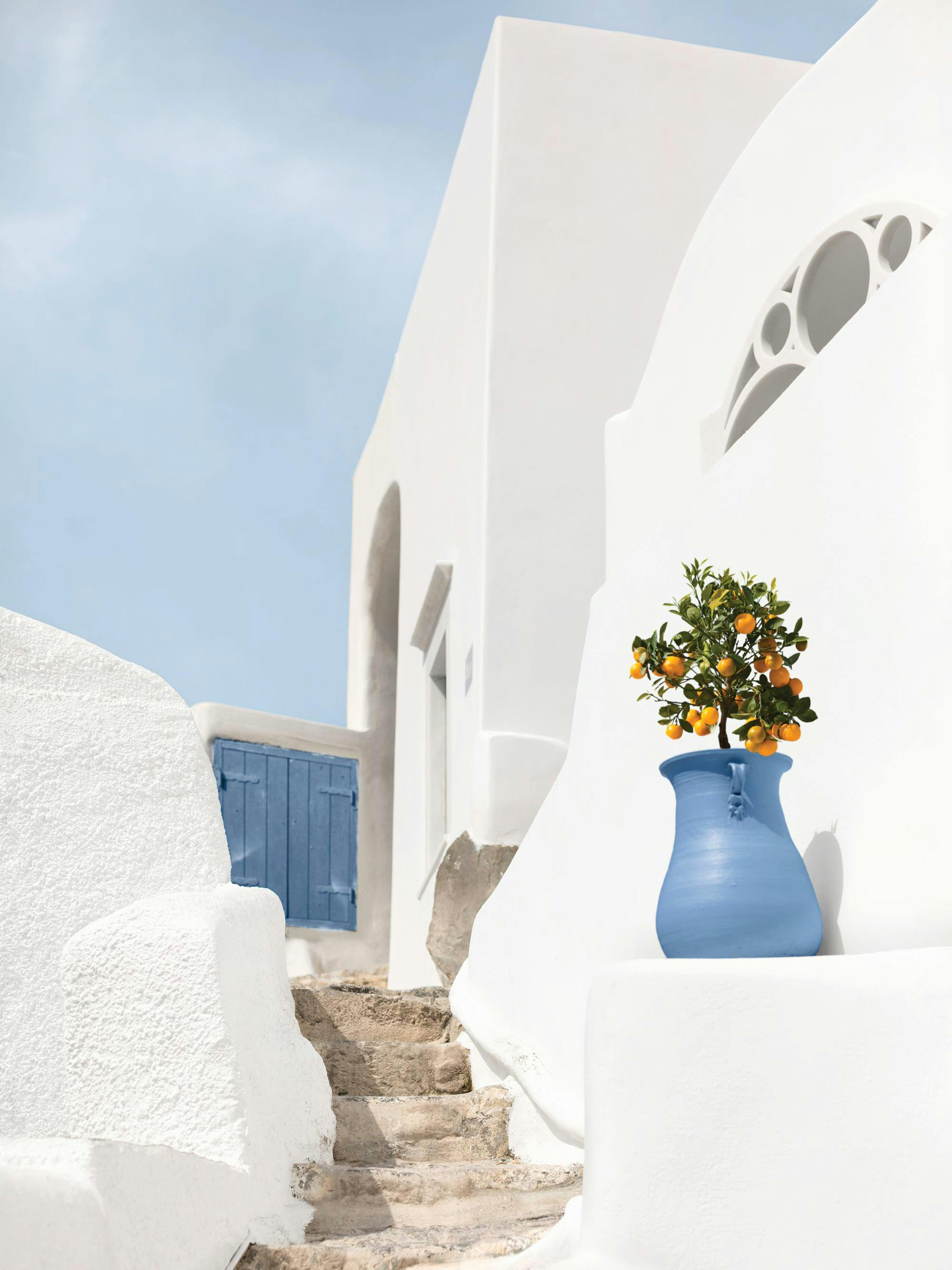 A poster of a white stucco building with blue shutters and a blue pot with an orange tree.