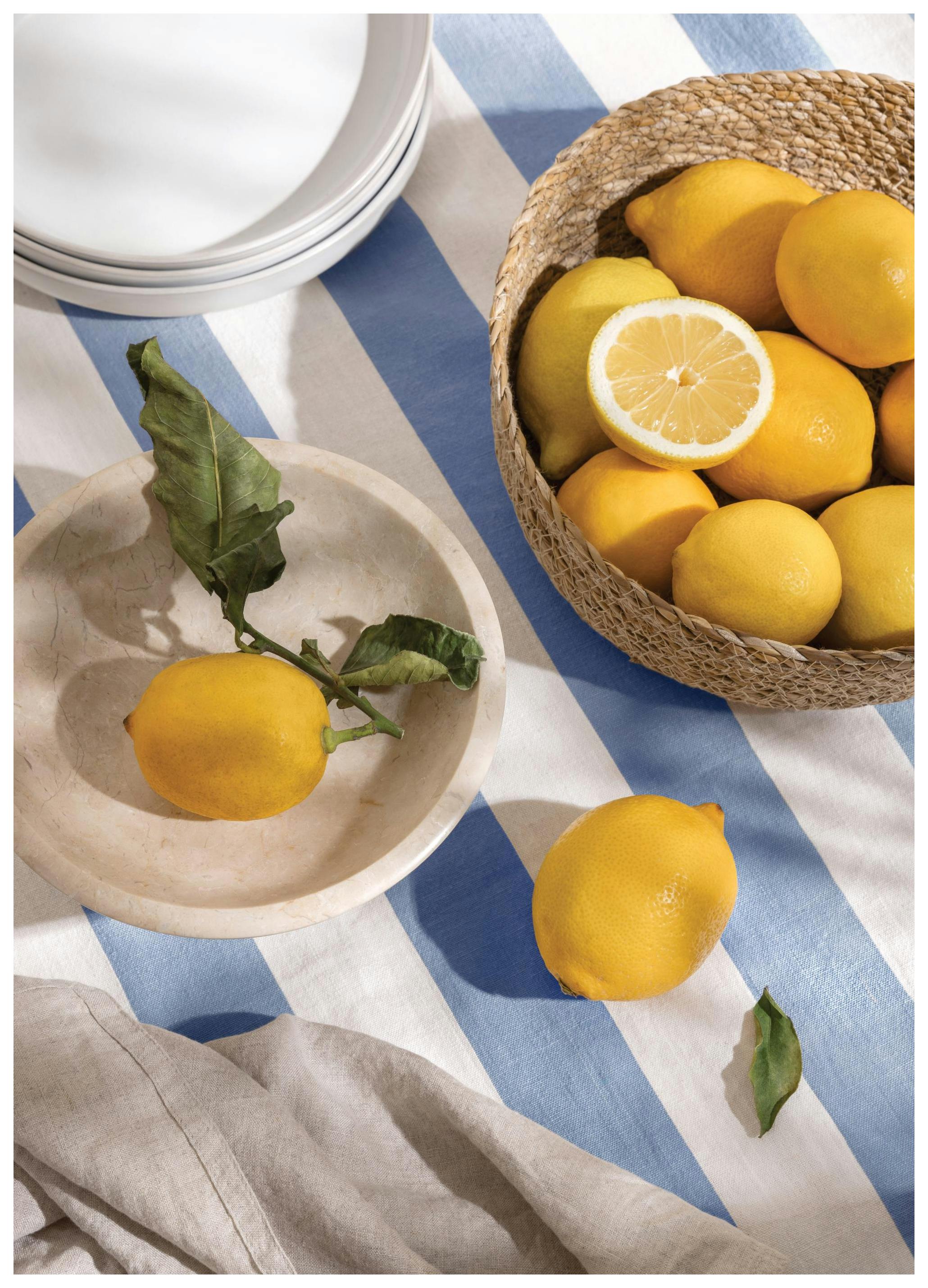 Righe e Limoni Poster (30x40 cm) - Poster Store