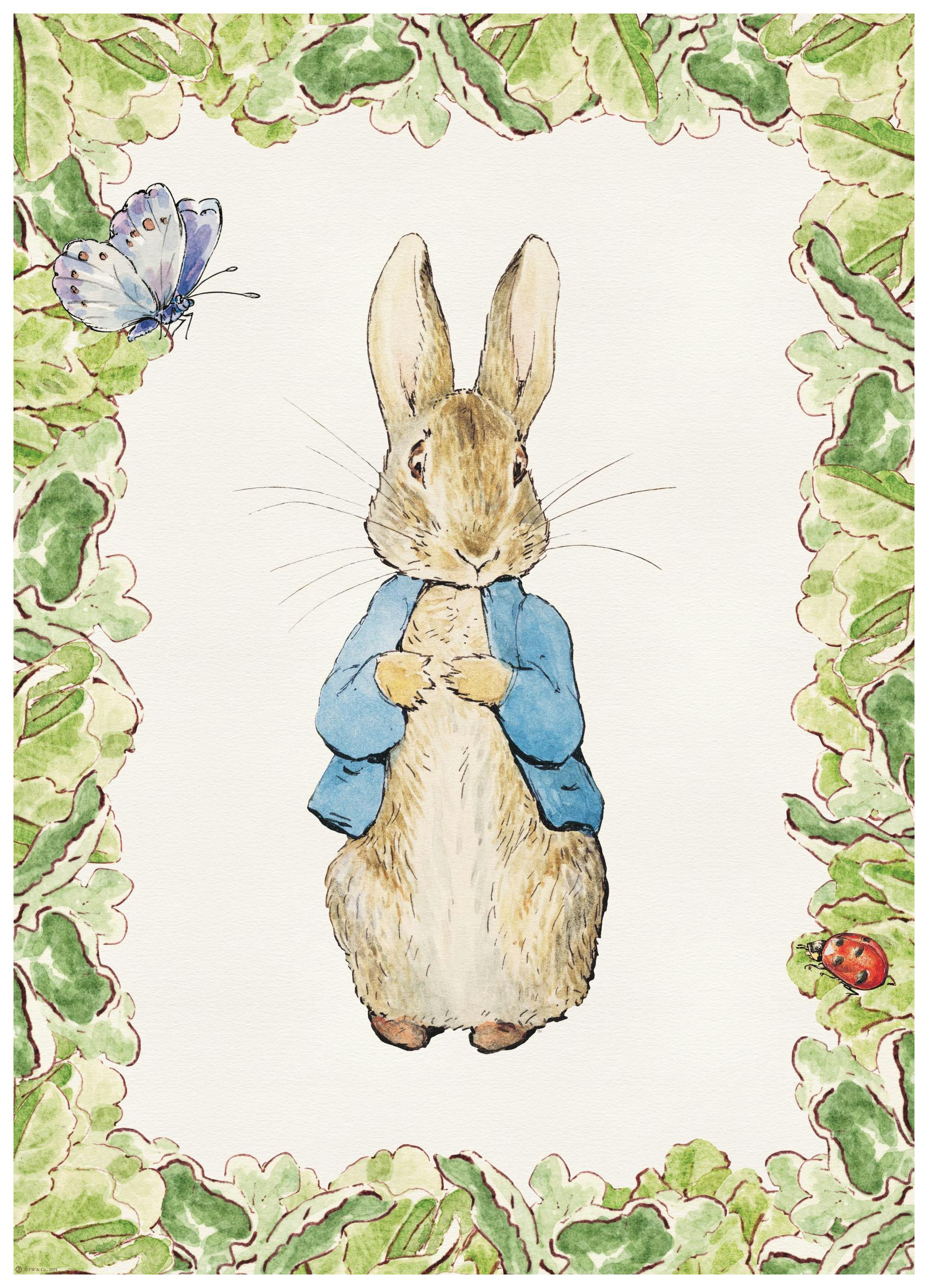 Peter Rabbit Portrait Affiche (21x30 cm) - Poster Store