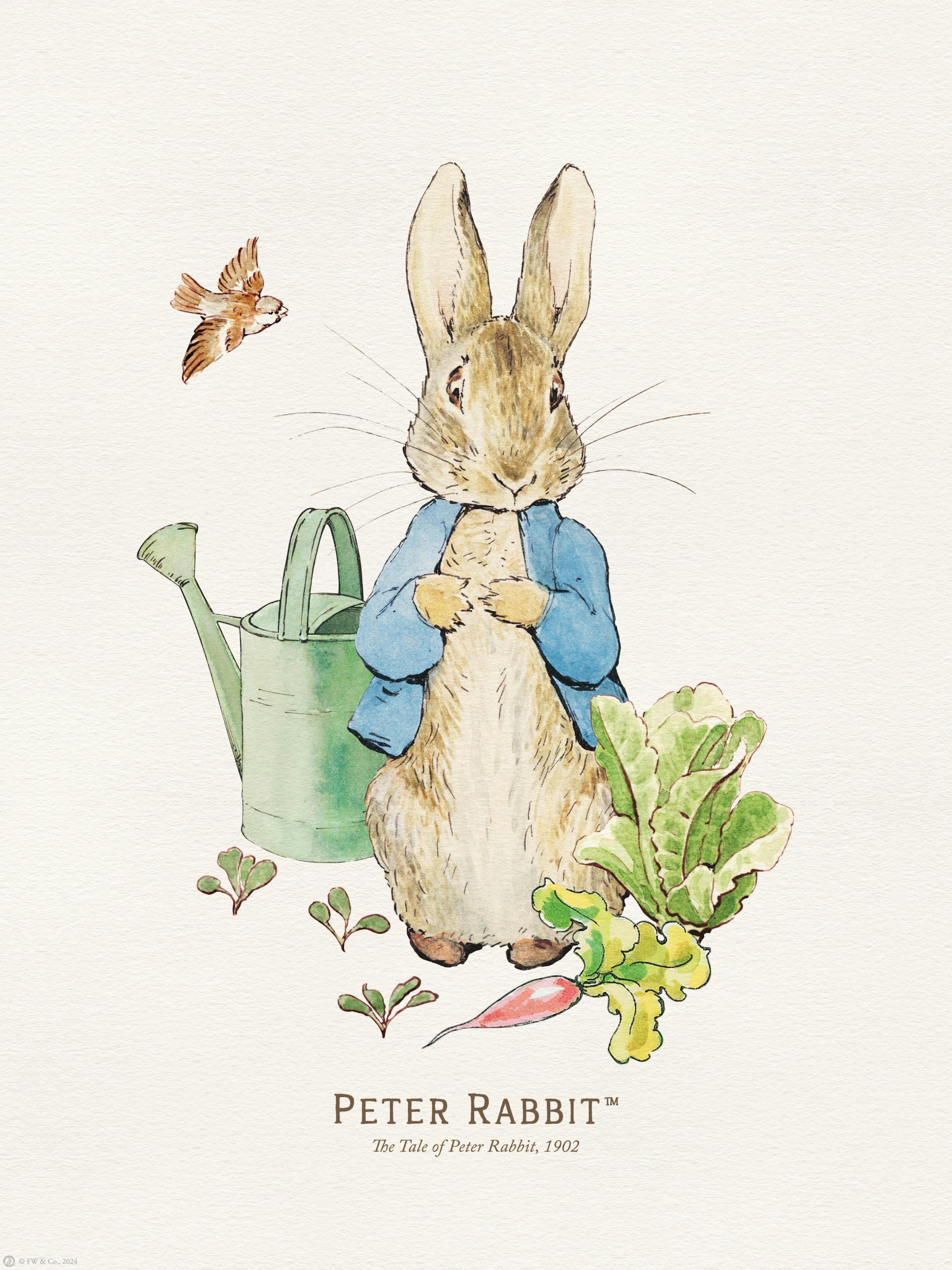 Egy poster Nyuszi Péterről kék kabátban, öntözőkannával és zöldségekkel, egy madárral a háttérben.