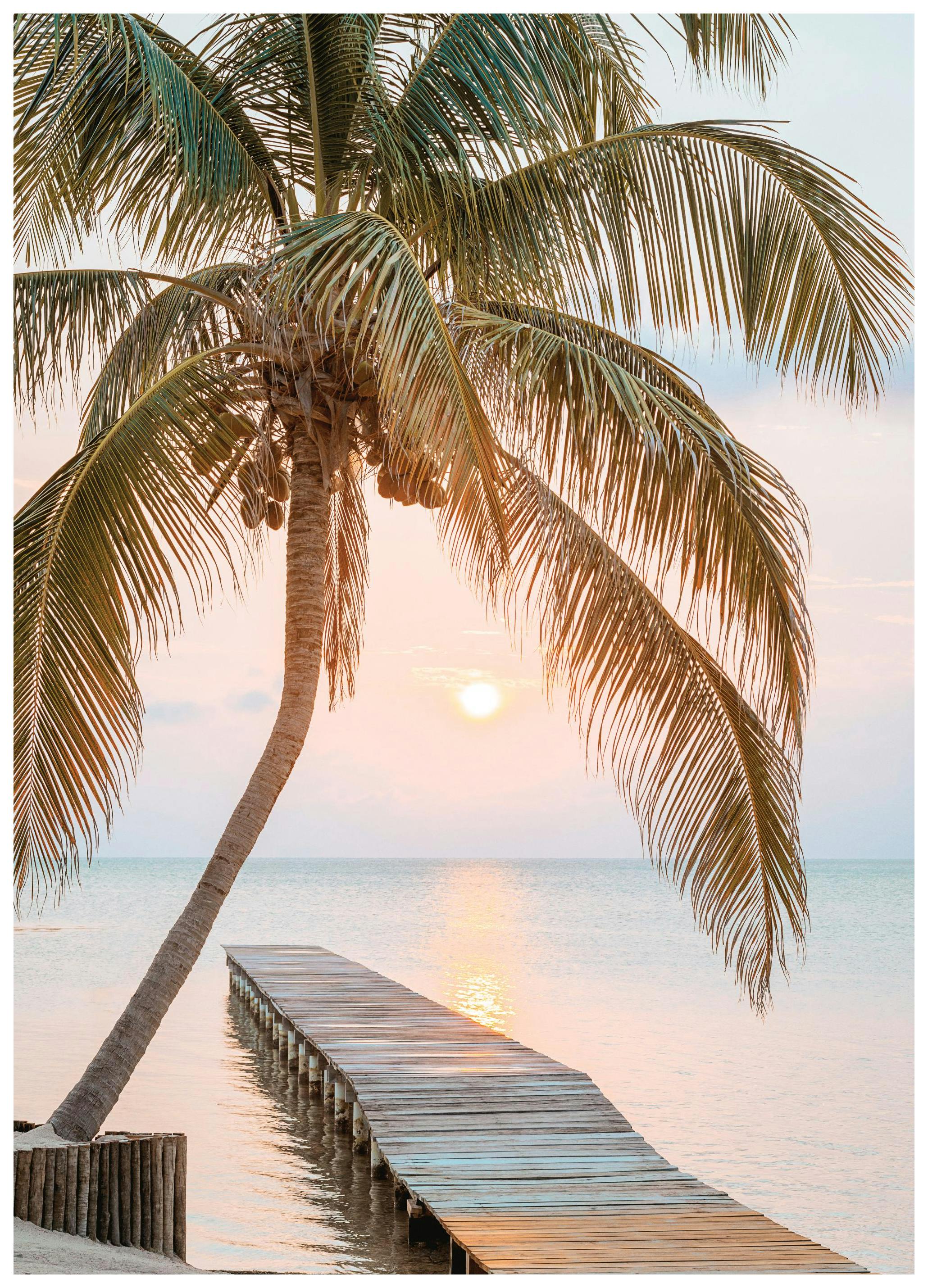 Molo Tropicale Poster (21x30 cm) - Poster Store
