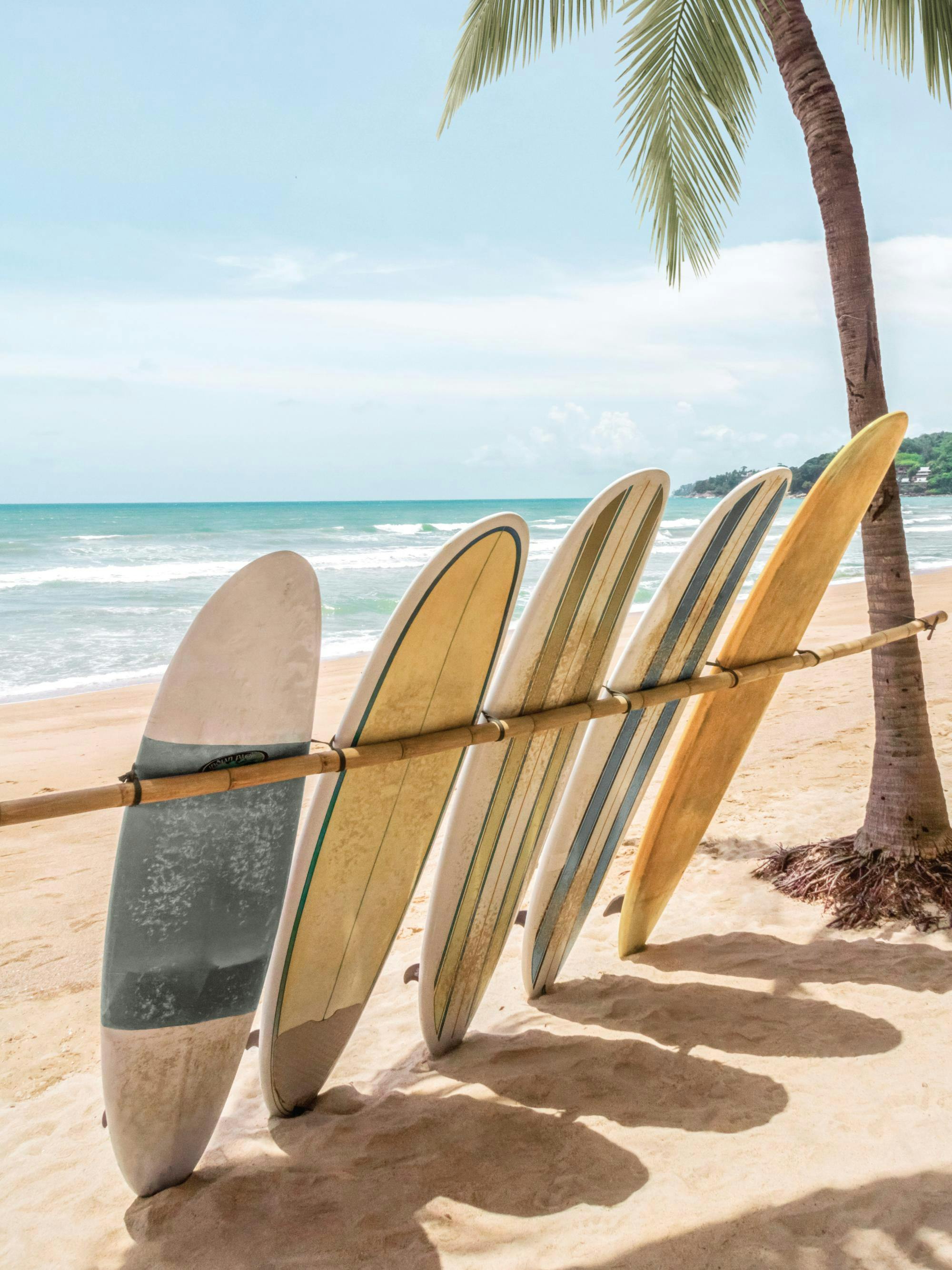 Póster de tablas de surf de colores claros apoyadas en un soporte de bambú en una playa con palmeras y mar azul verdoso.