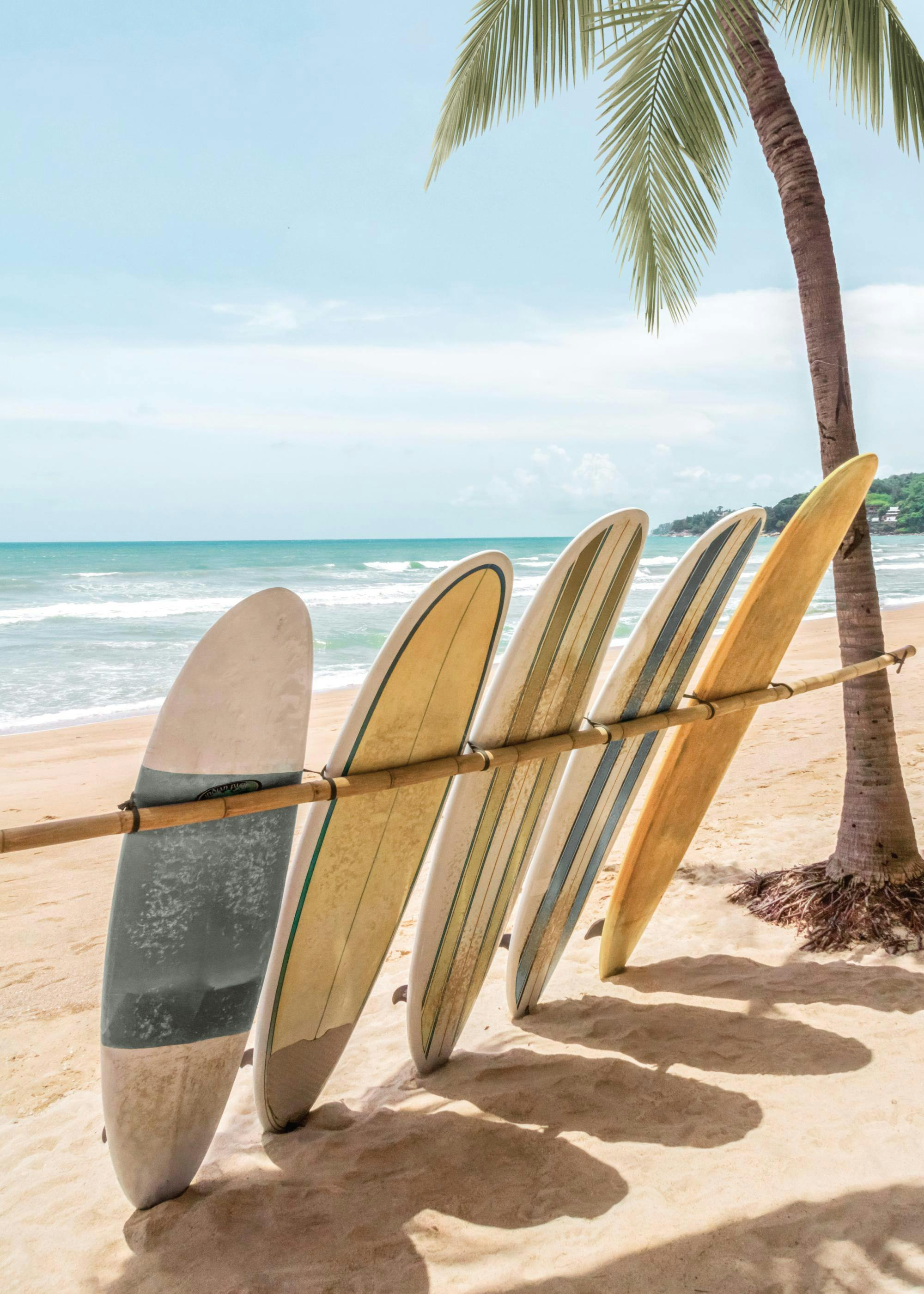 A poster featuring surfboards lined up on a sandy beach next to a palm tree with the ocean in the background.