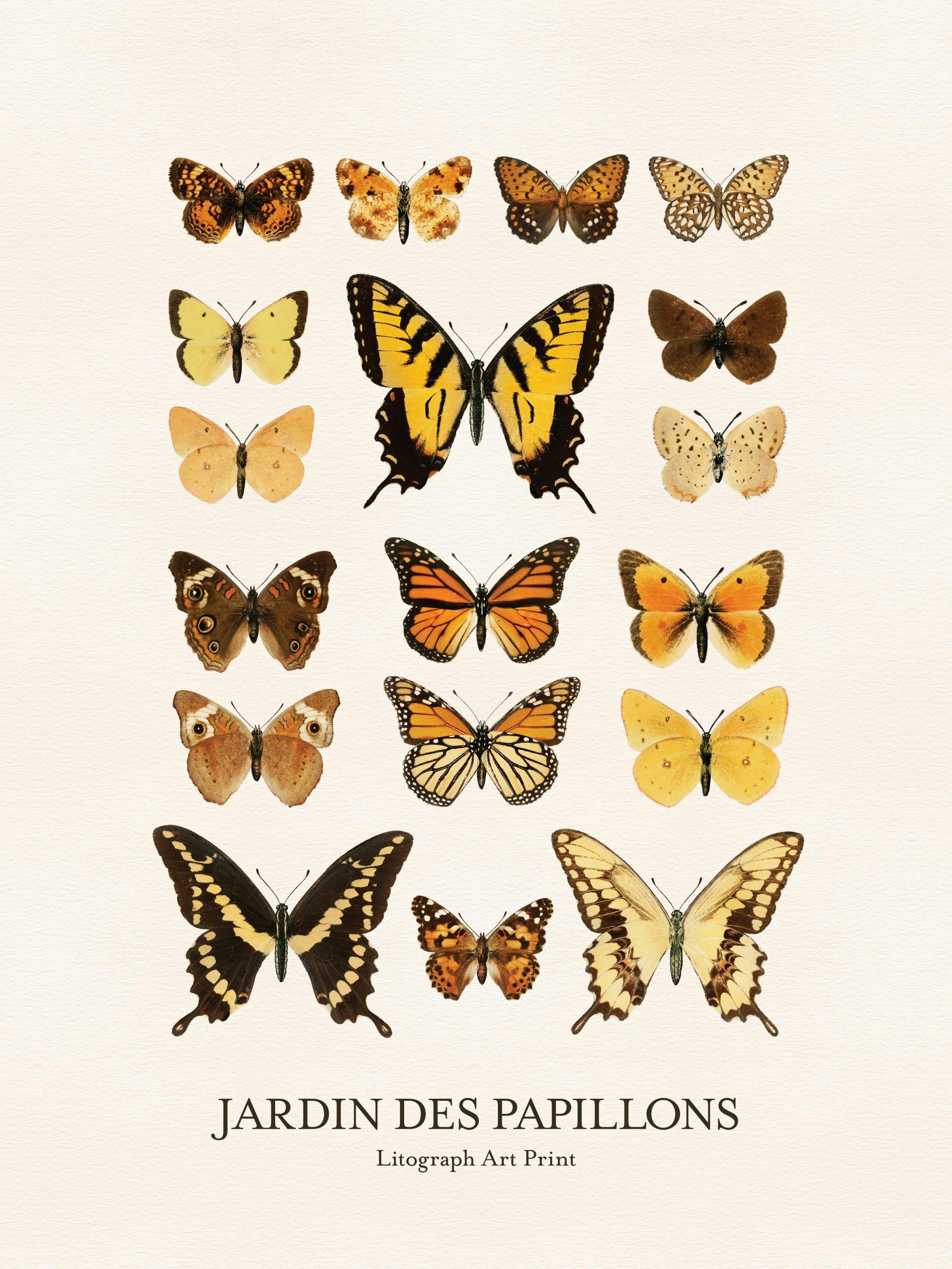 A poster featuring a collection of diverse butterflies in various colours and patterns on a light background.
