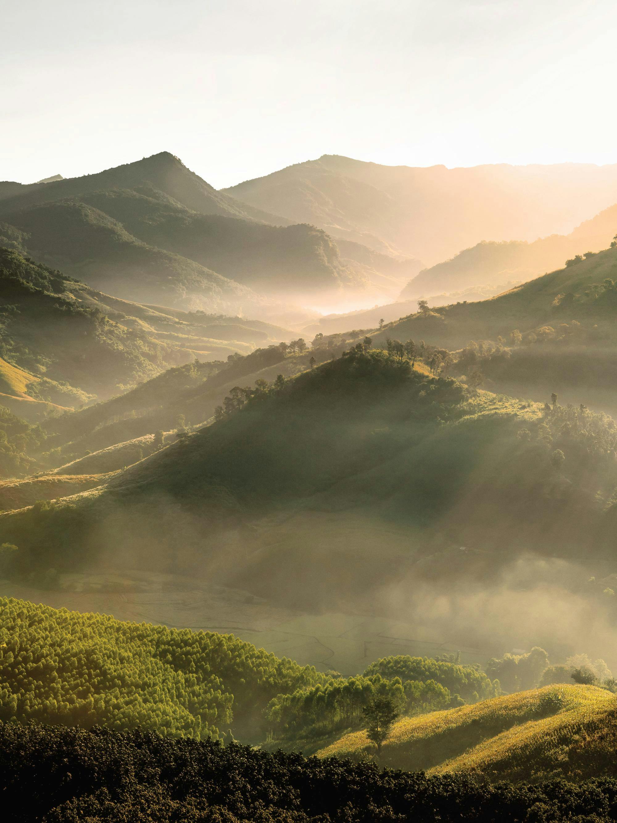 A poster featuring a misty morning scene of rolling green mountains and hills under a soft, glowing sky.