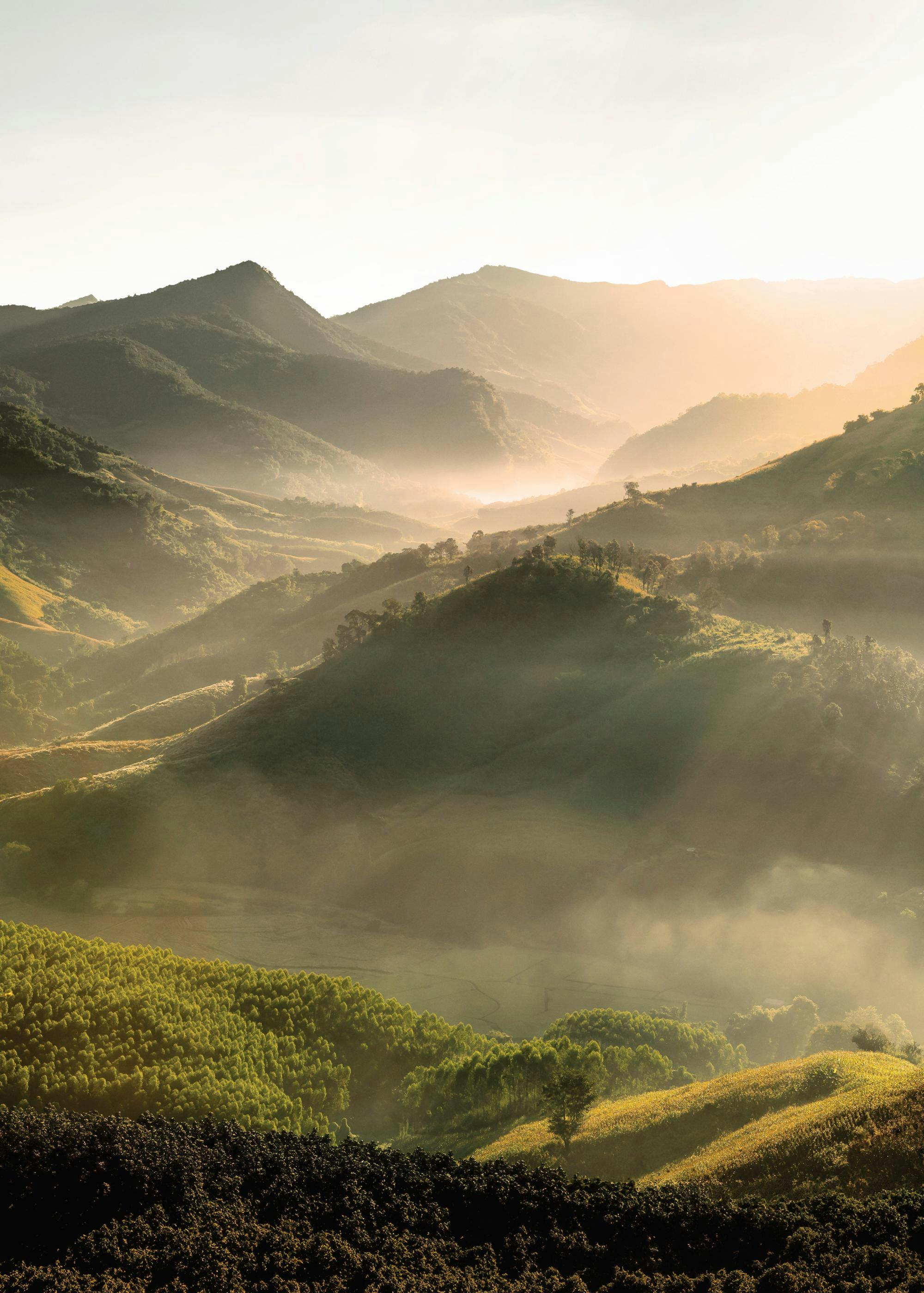 A poster featuring a misty morning scene of rolling green mountains and hills under a soft, glowing sky.