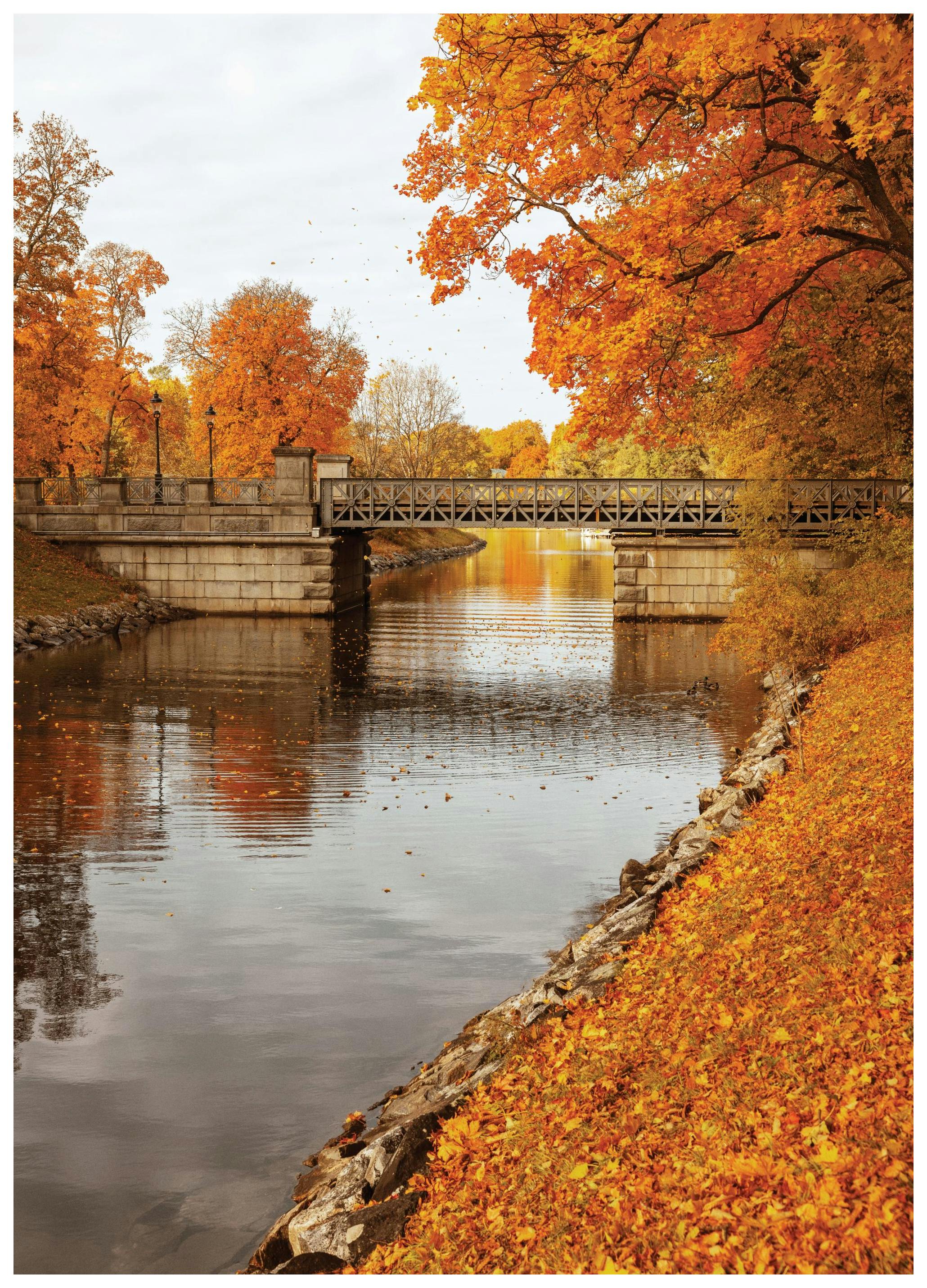 Autumnal Bridge Poster (30x40 cm) - Poster Store