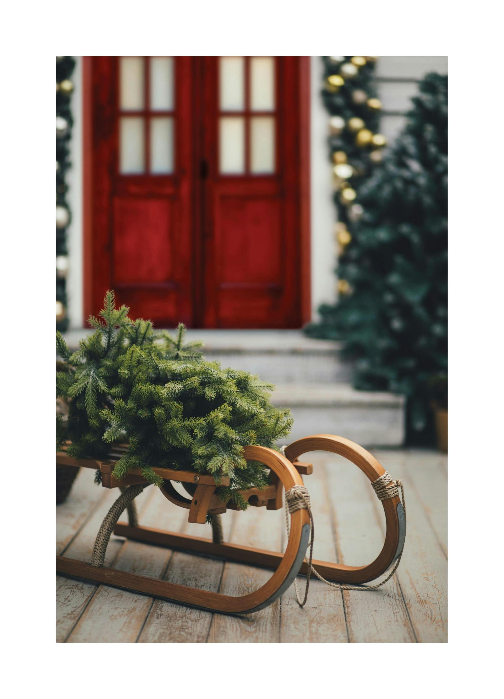 Wooden Sleigh Poster (50x70 cm) - Poster Store