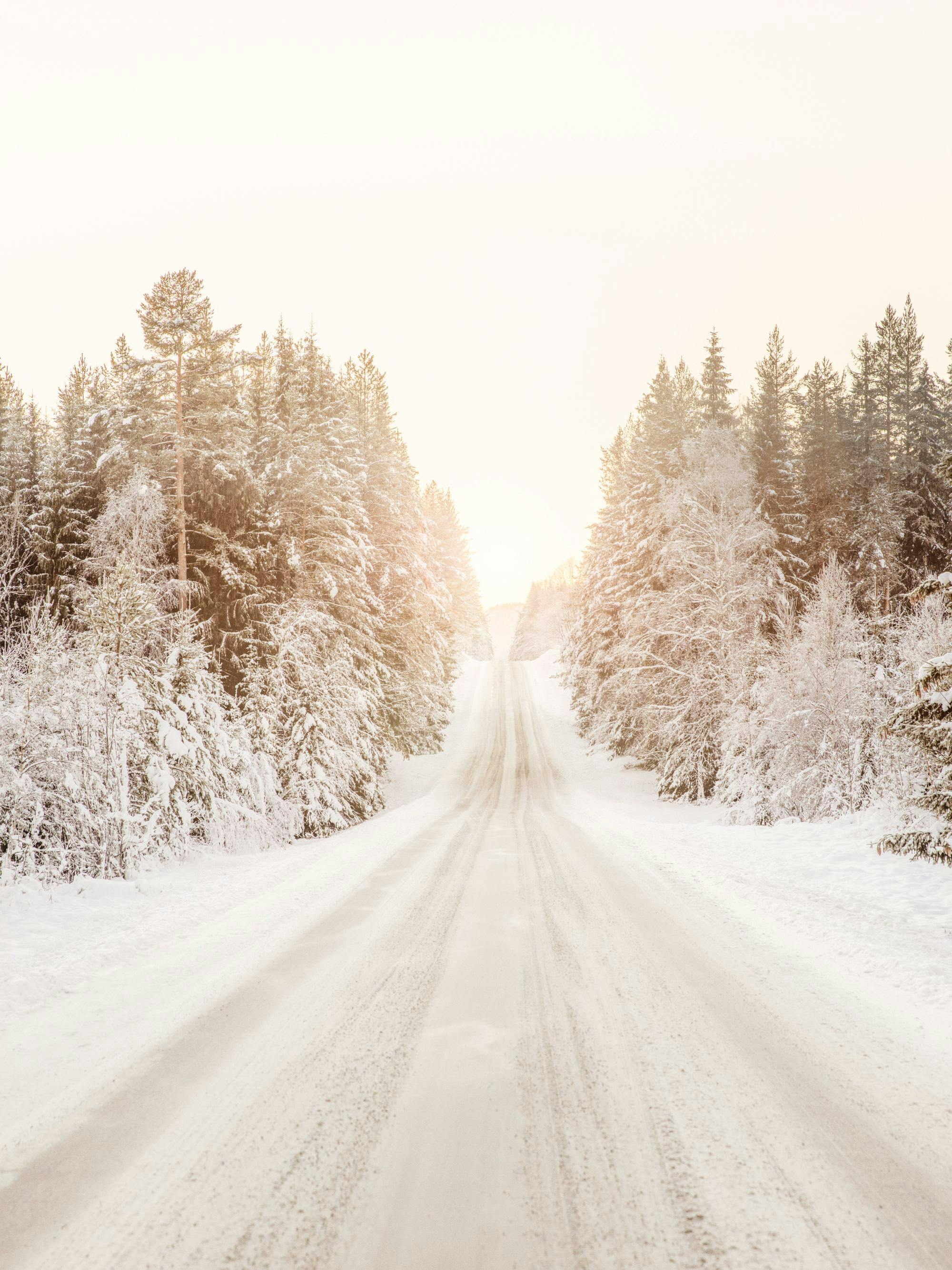 Ein Poster einer verschneiten Straße im Winterwald bei Sonnenuntergang, mit Spuren im Schnee.