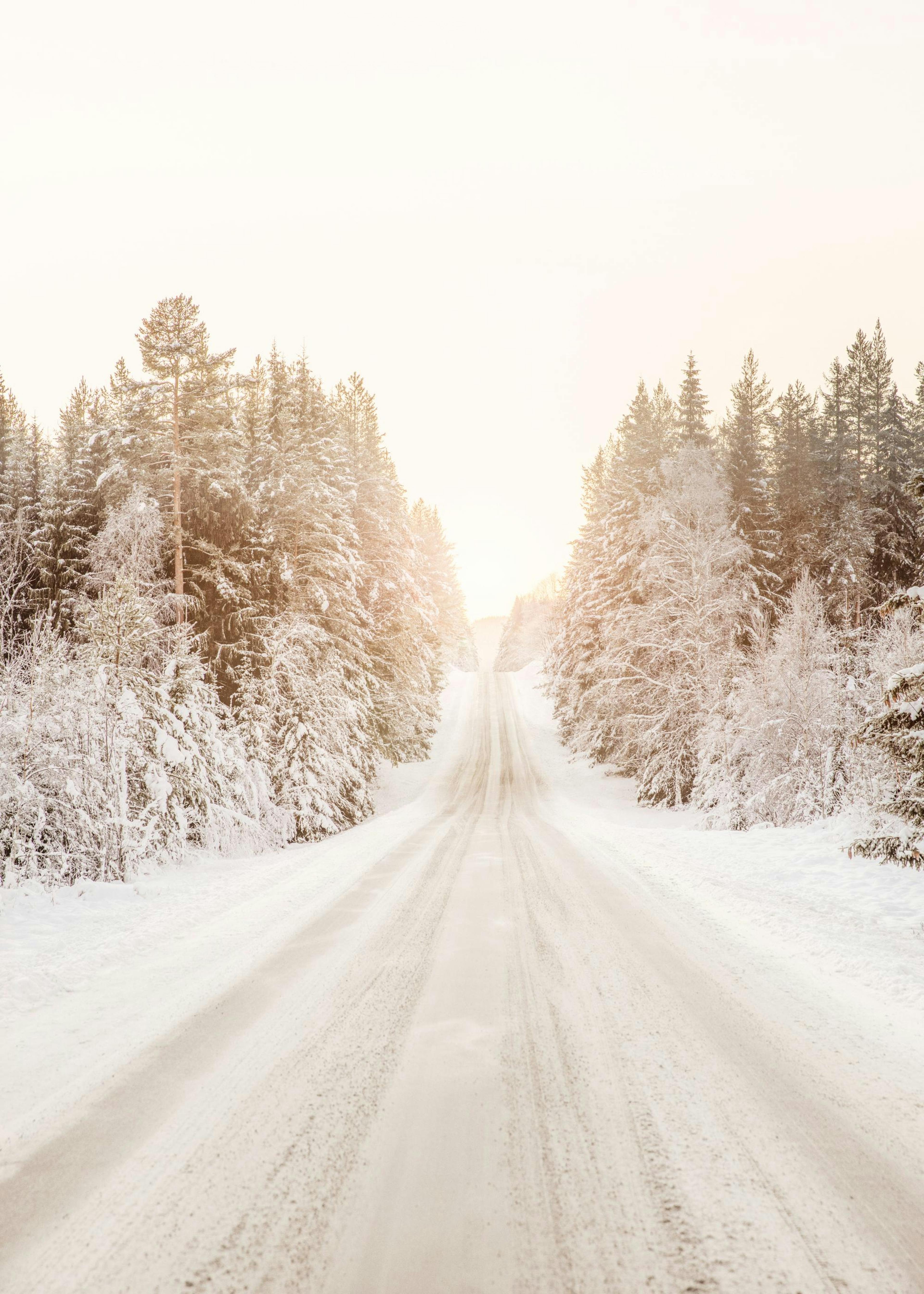 Snowy Road Poster 0
