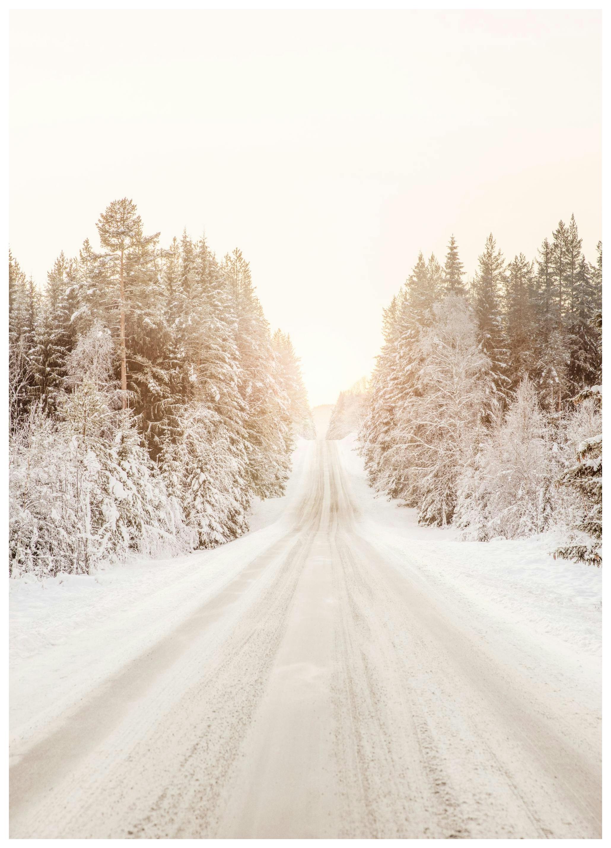 Snowy Road Poster (30x40 cm) - Poster Store