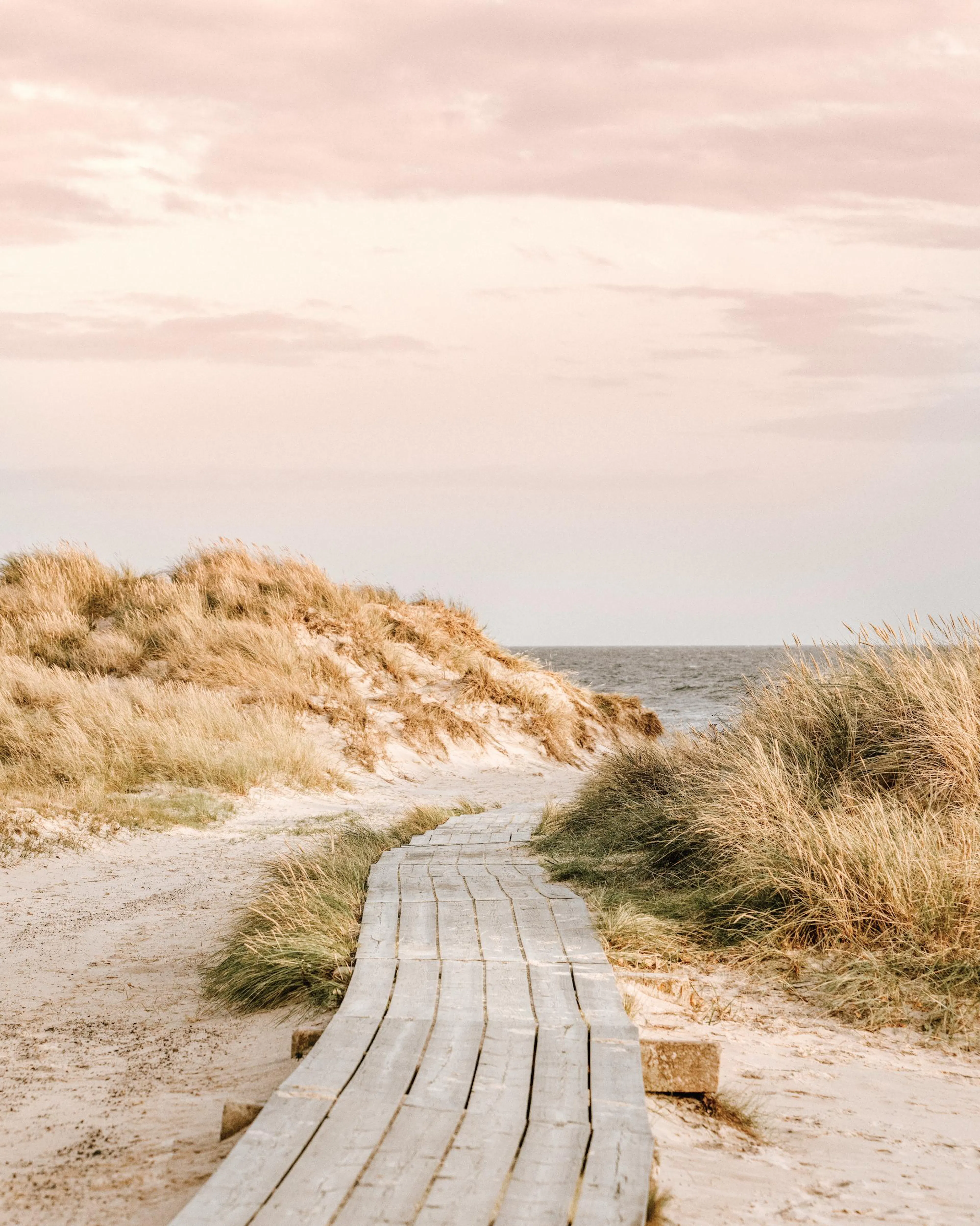Ein Poster eines Holzstegs, der durch Sanddünen zum Meer führt, mit goldenem Gras und rosa Himmel.