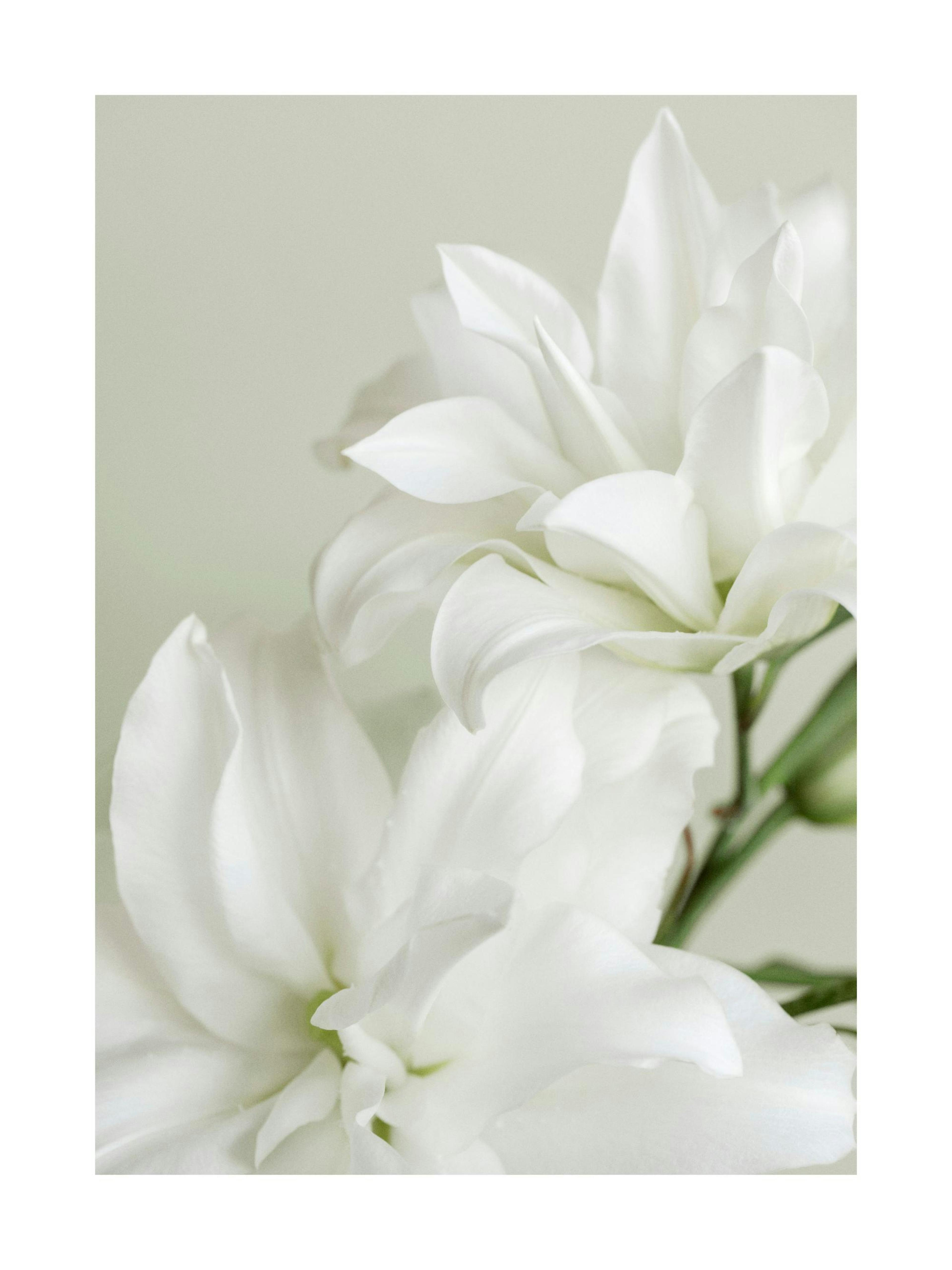 Product image: 1