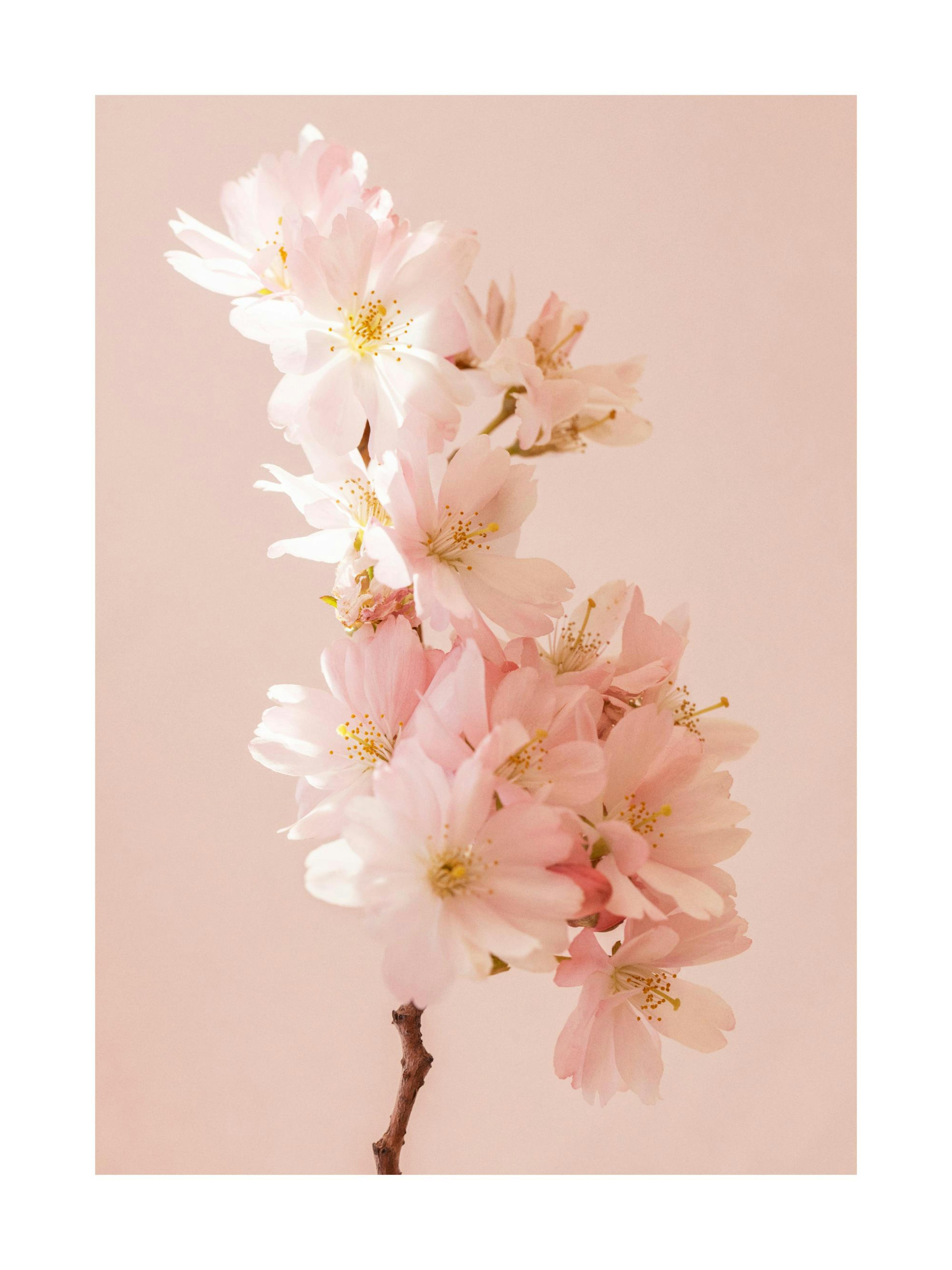 Product image: 1