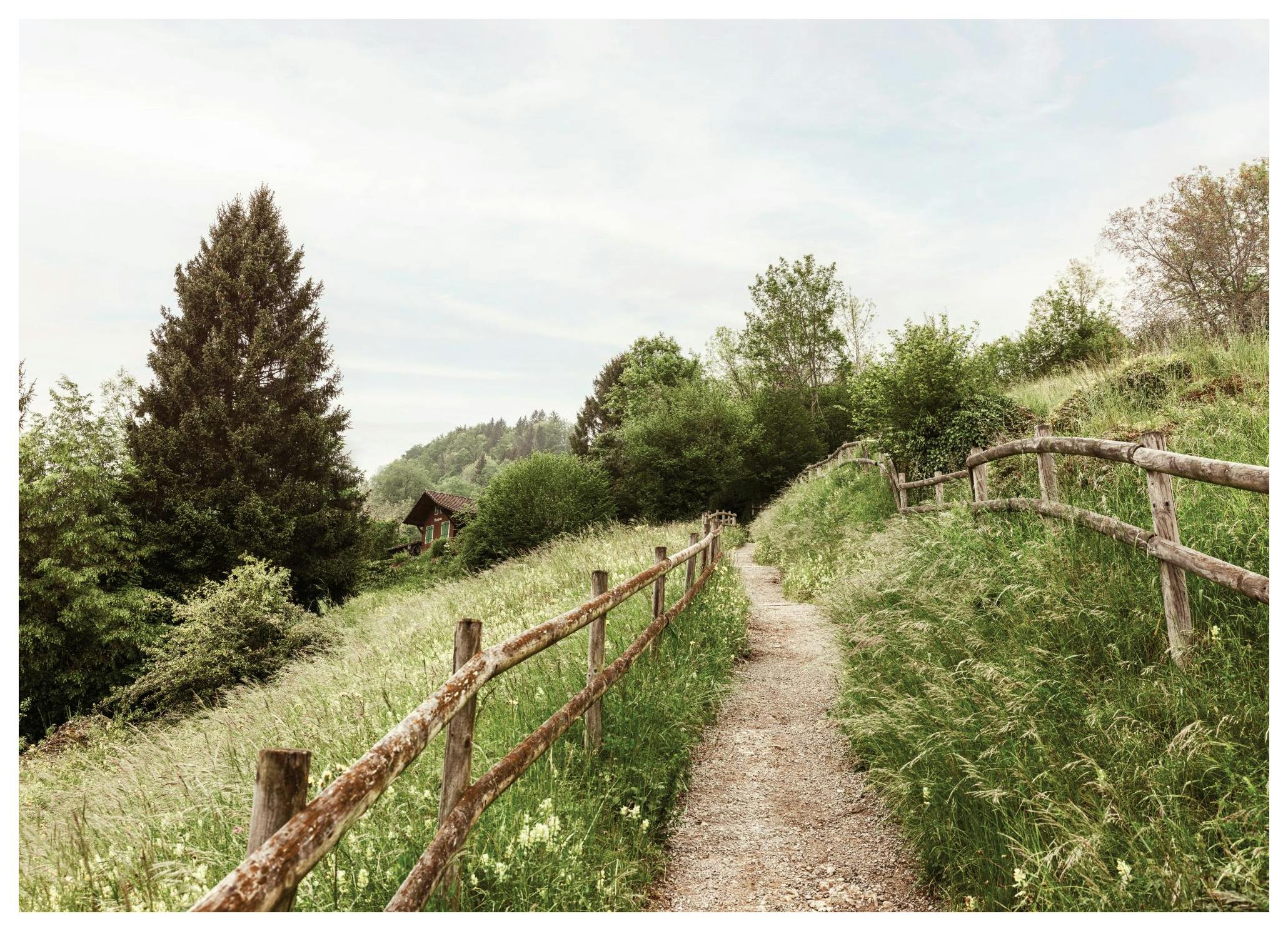 Path through the Hills Poster (50x70 cm) - Poster Store
