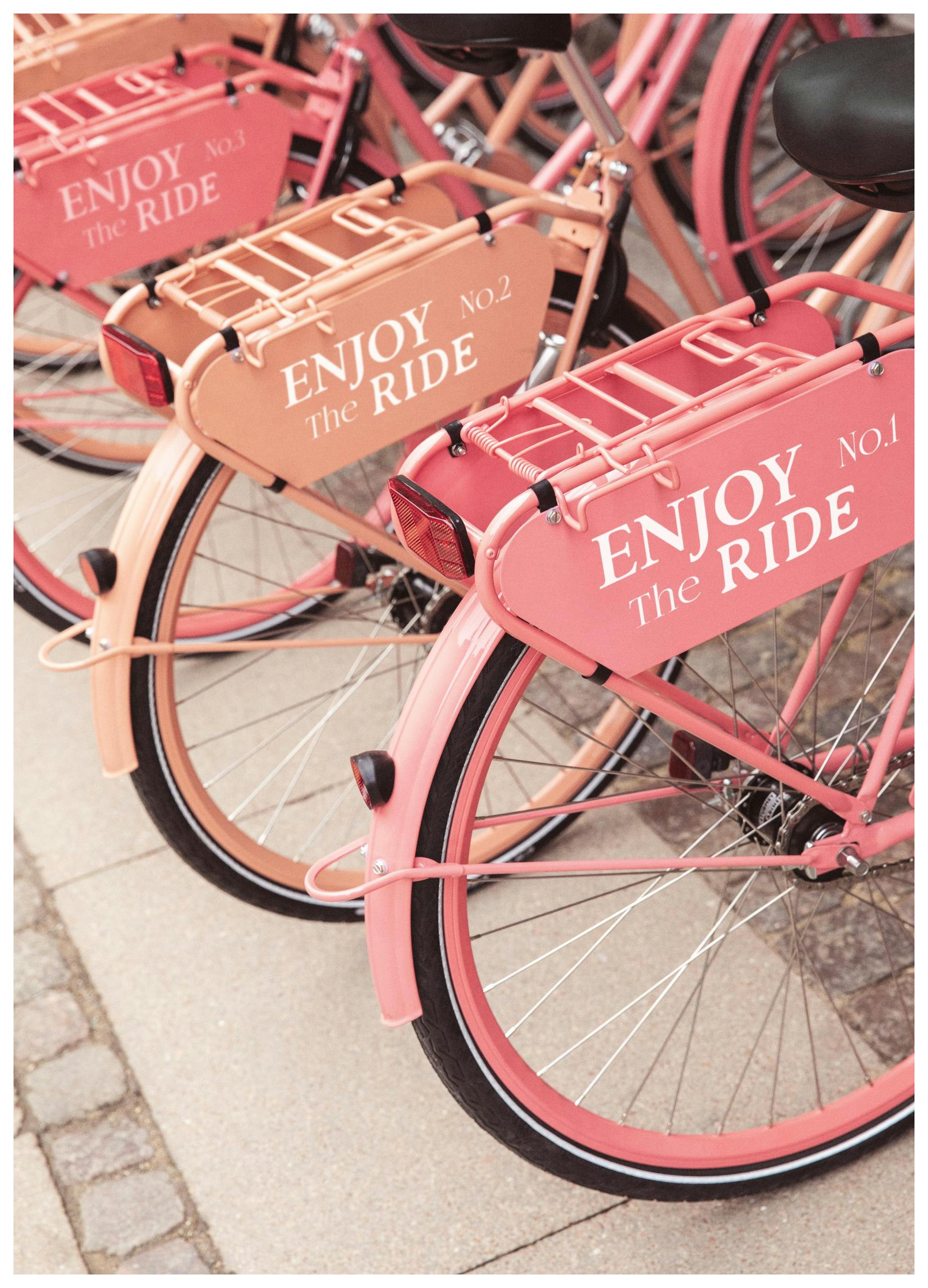 Pink City Bikes Poster (50x70 cm) - Poster Store