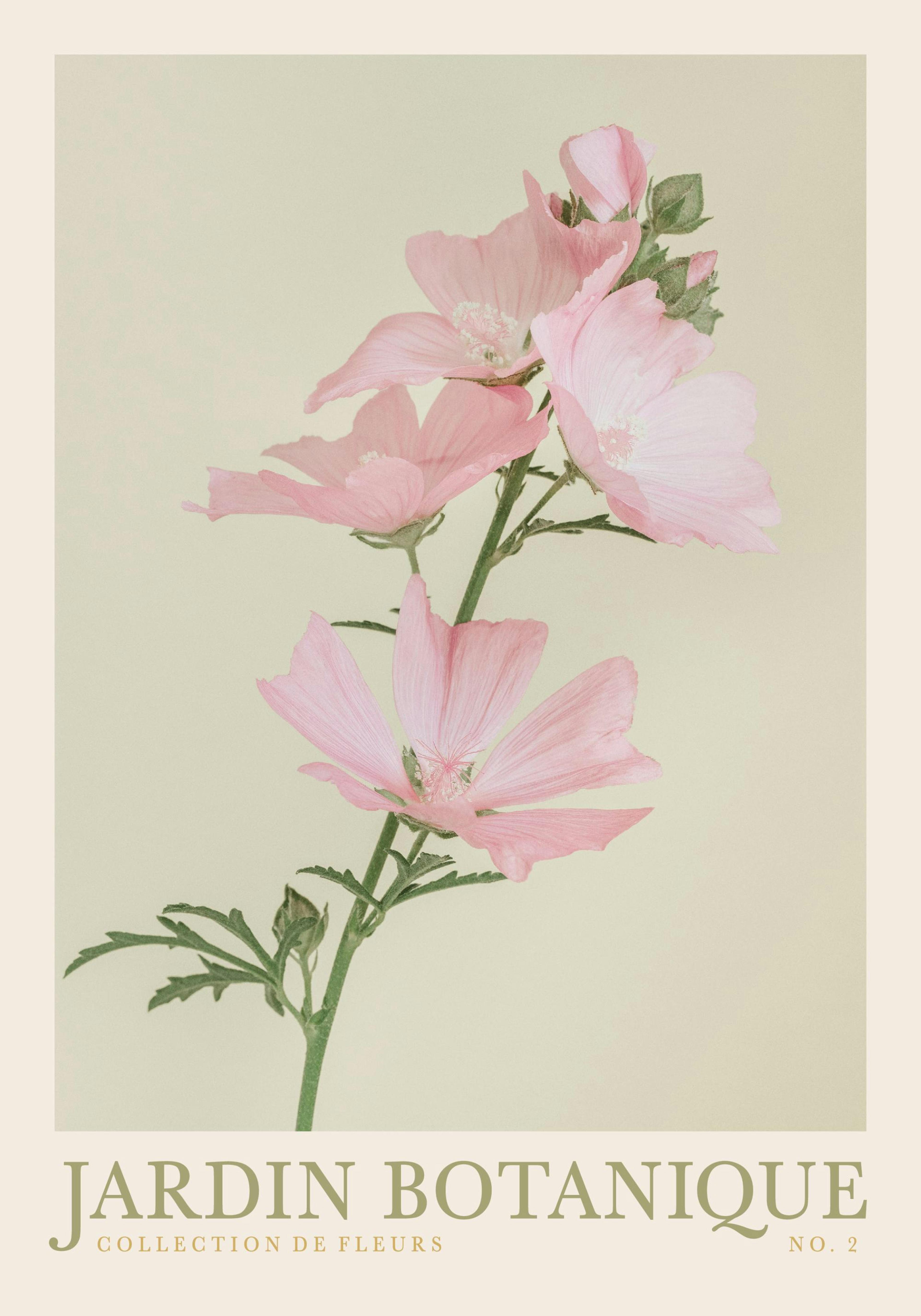 Product image: 1