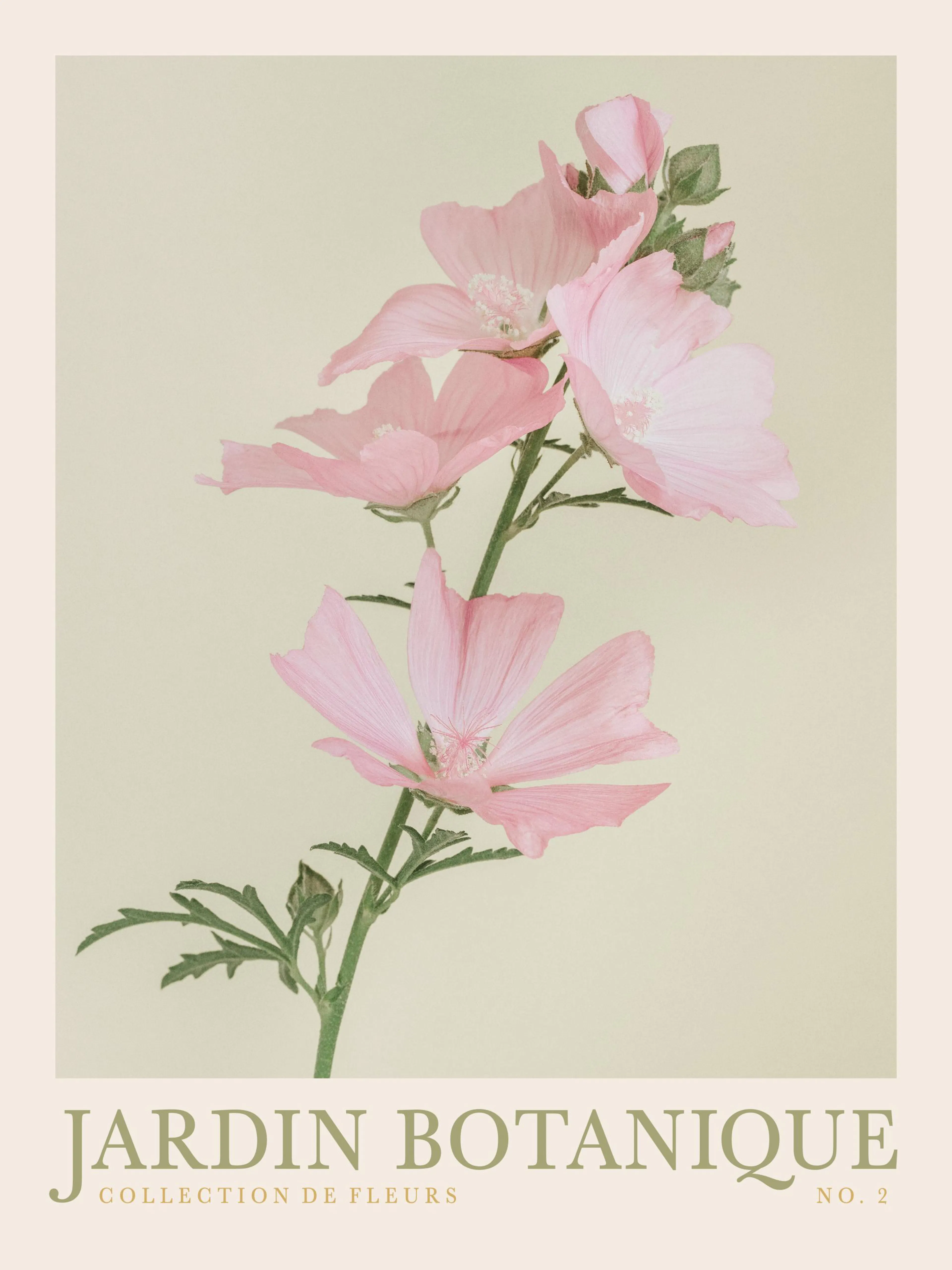 Poster Jardin Botanique avec une tige de fleurs roses sur fond beige crème.