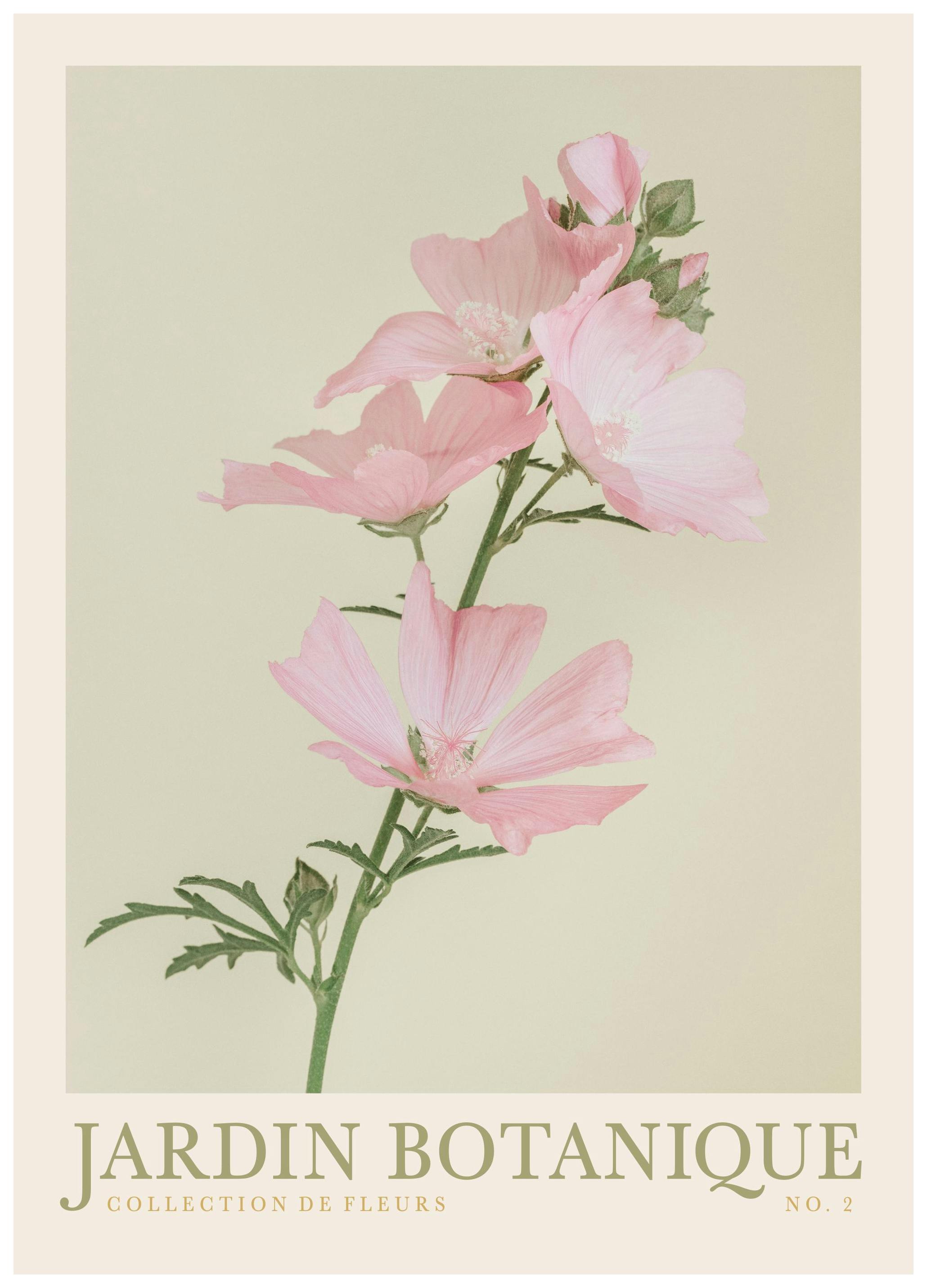 Jardin Botanique No2 Poster (30x40 cm) - Poster Store